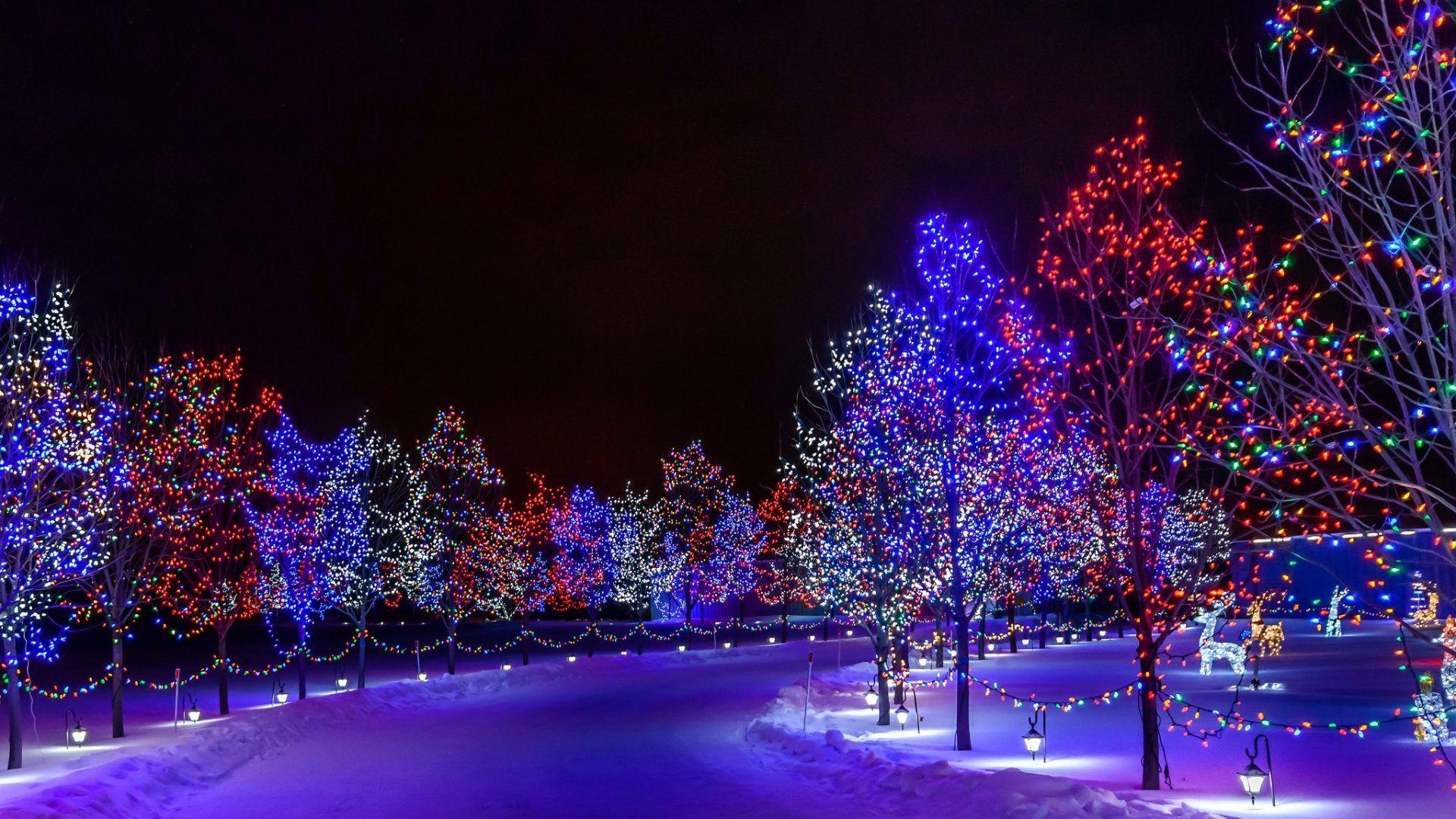 Shutterstock.com everyone loves the christmas tree—so long as it's standing p. Christmas Light Snow Wallpapers - Wallpaper Cave