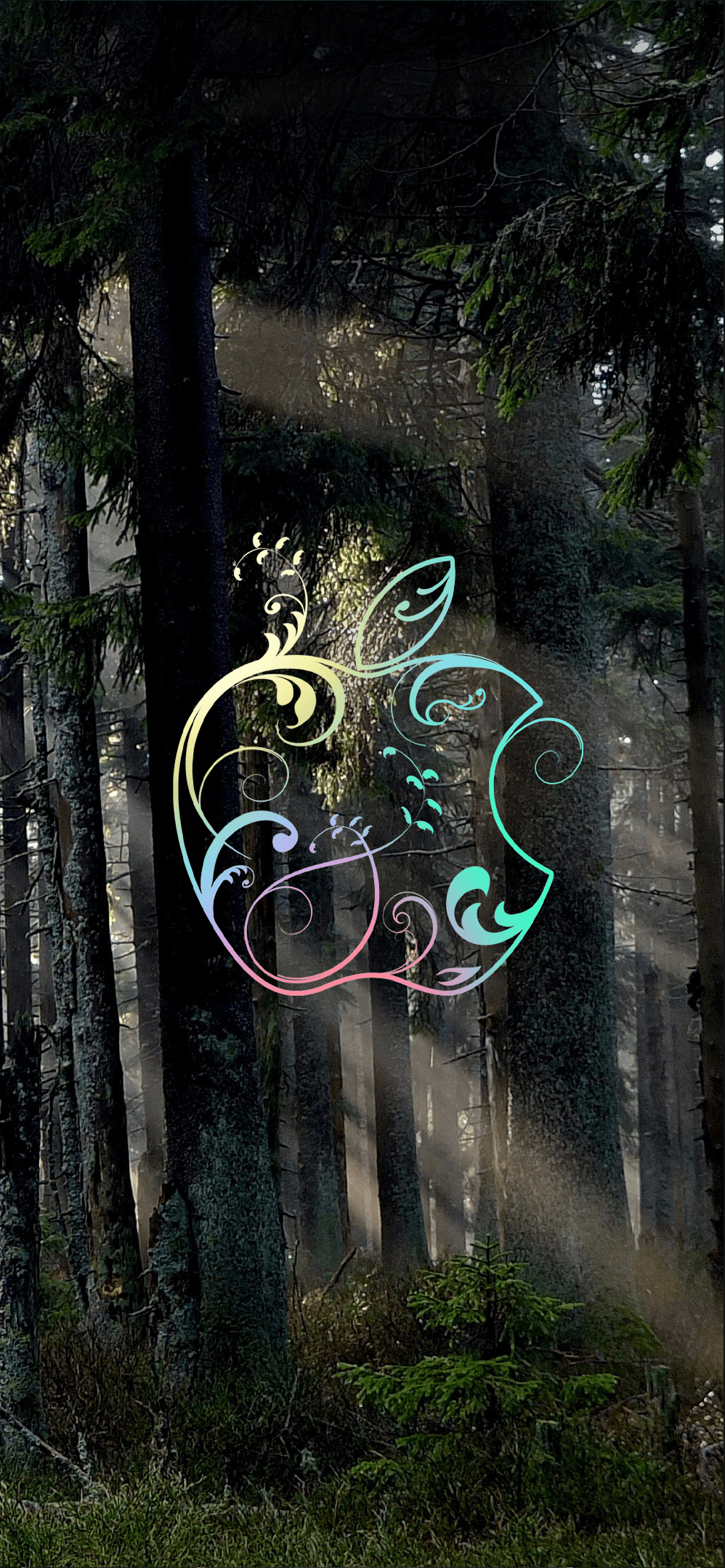 apple iphone pro full hd wallpapers wallpaper cave