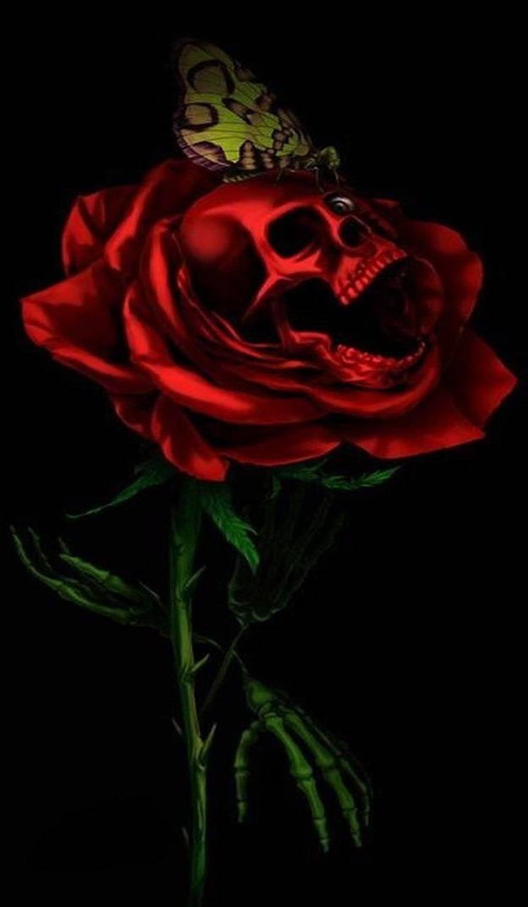 rose skull android wallpapers wallpaper cave on rose skull android wallpapers