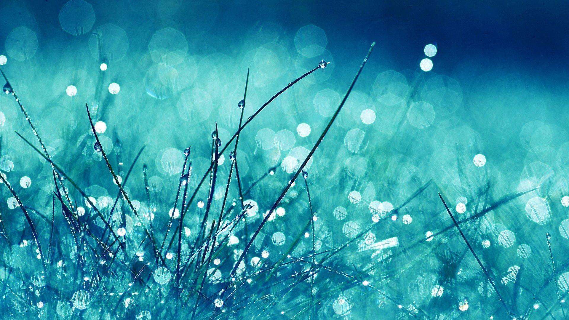 Medical biology detail medicine psychedelic … Bright Desktop Wallpapers Wallpaper Cave