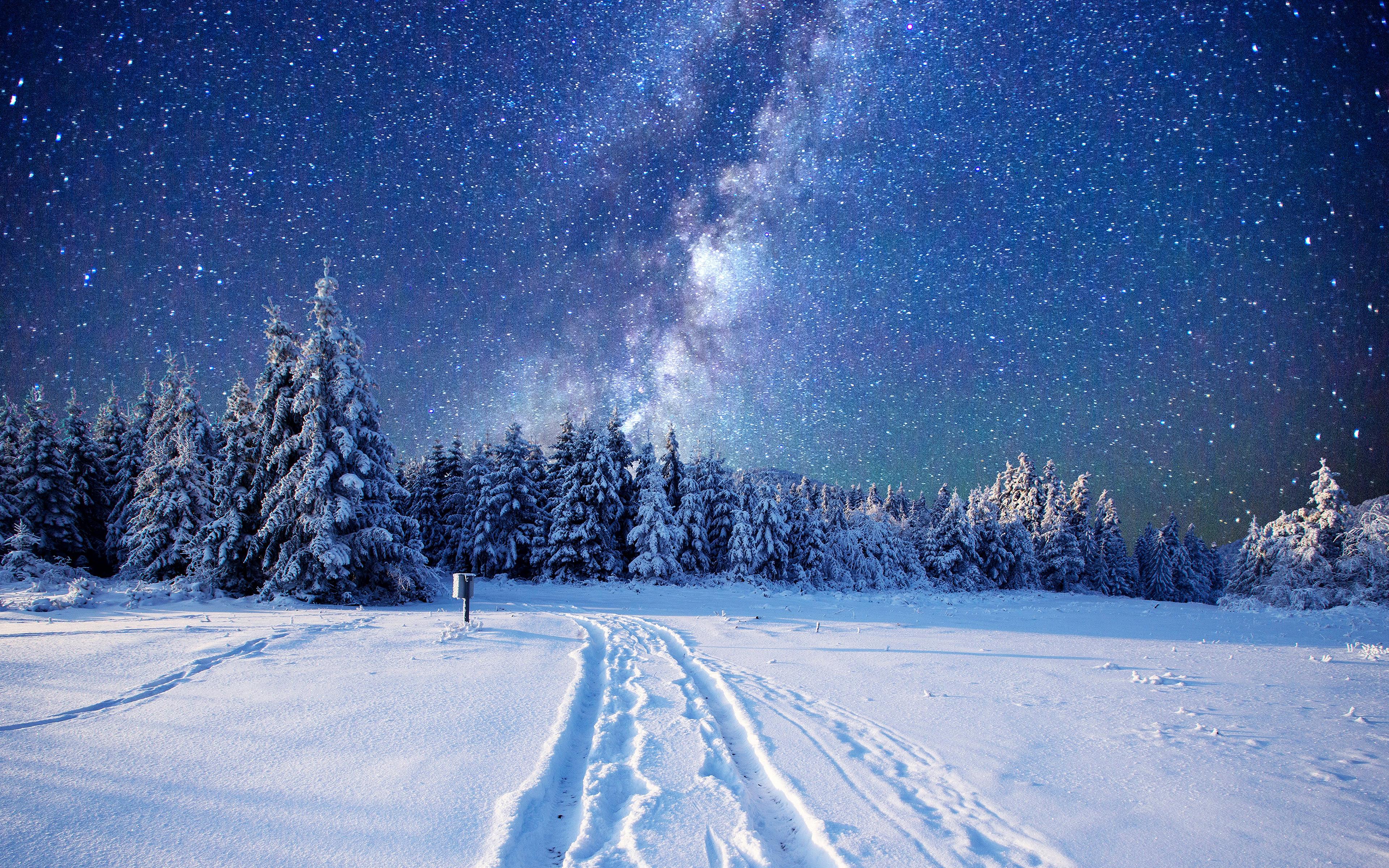 Winter night 4k wallpapers