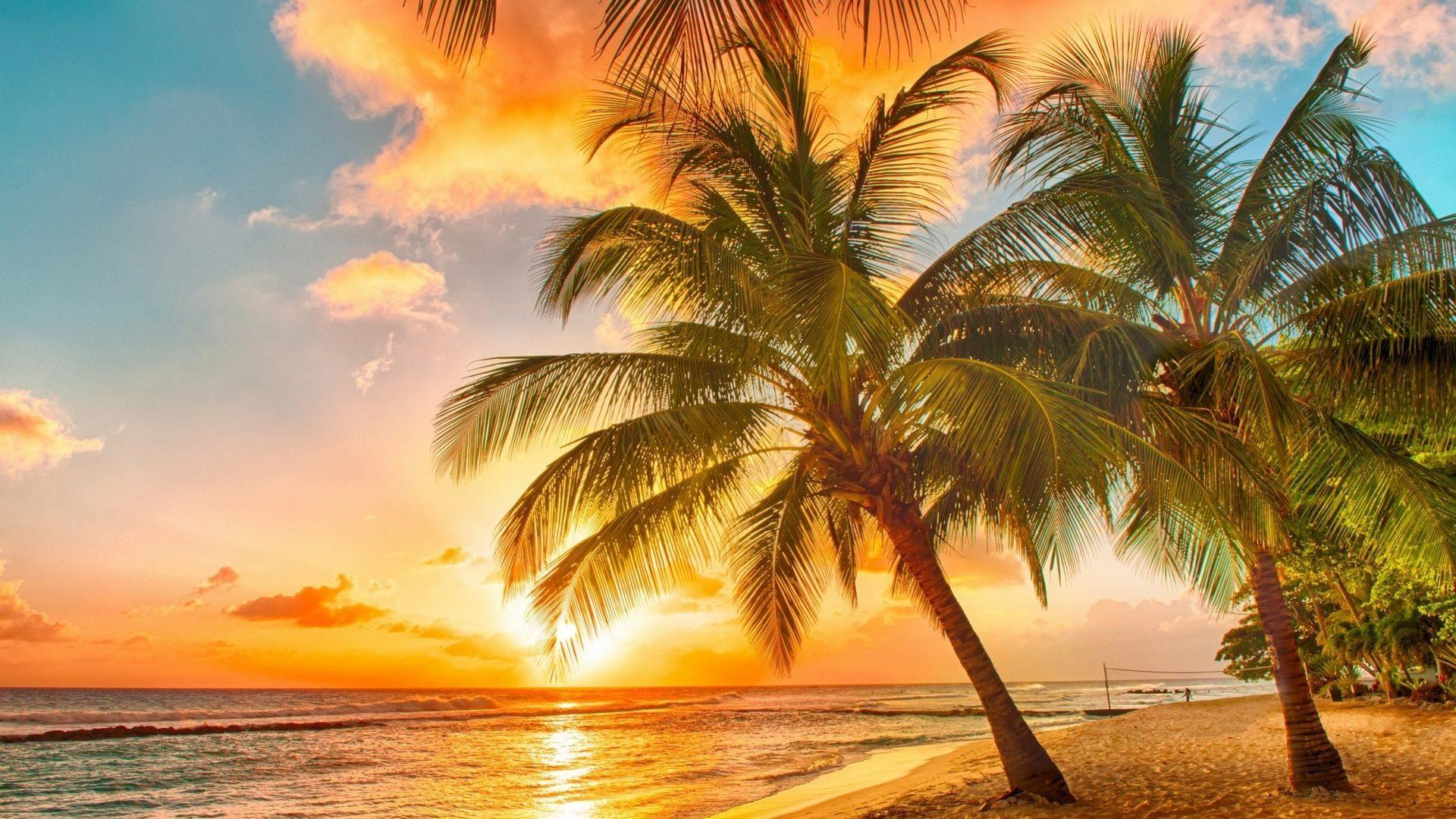 Tropical beach sunset wallpapers