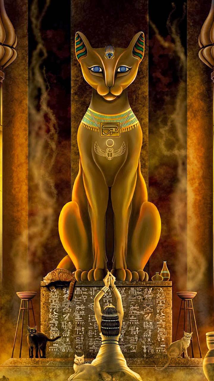 Egyptian cat