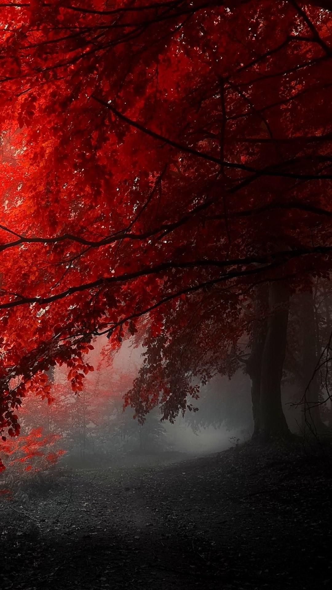 Check out this fantastic collection of red nature wallpapers, with 57 red nature background images for your desktop, phone or tablet. Red Nature Mobile Wallpapers Wallpaper Cave