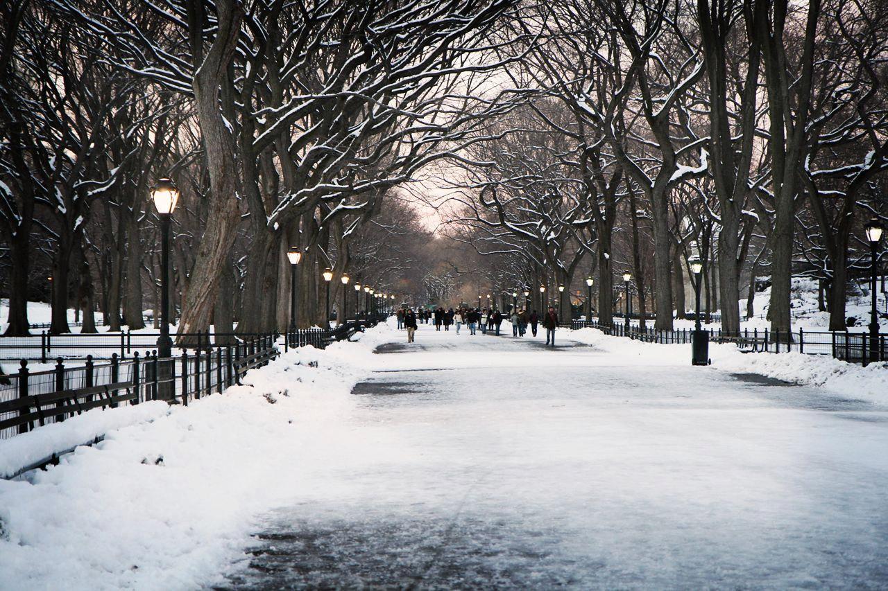 Central Park Winter Scenes Wallpapers - Wallpaper Cave