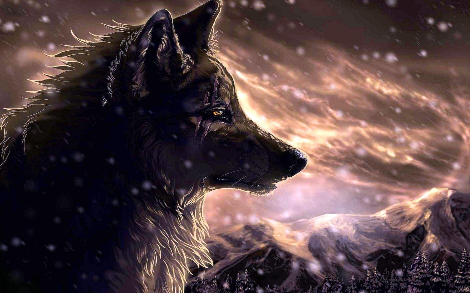 wolf drawings wallpapers wallpaper cave on wolf drawings wallpapers