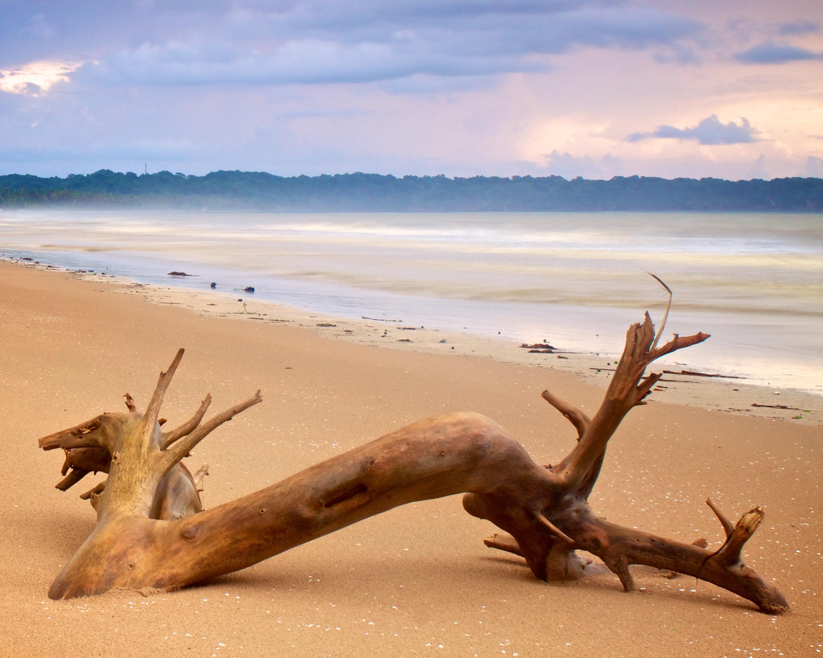 Driftwood Wallpapers Wallpaper Cave Driftwood Wallpapers Wallpaper Cave