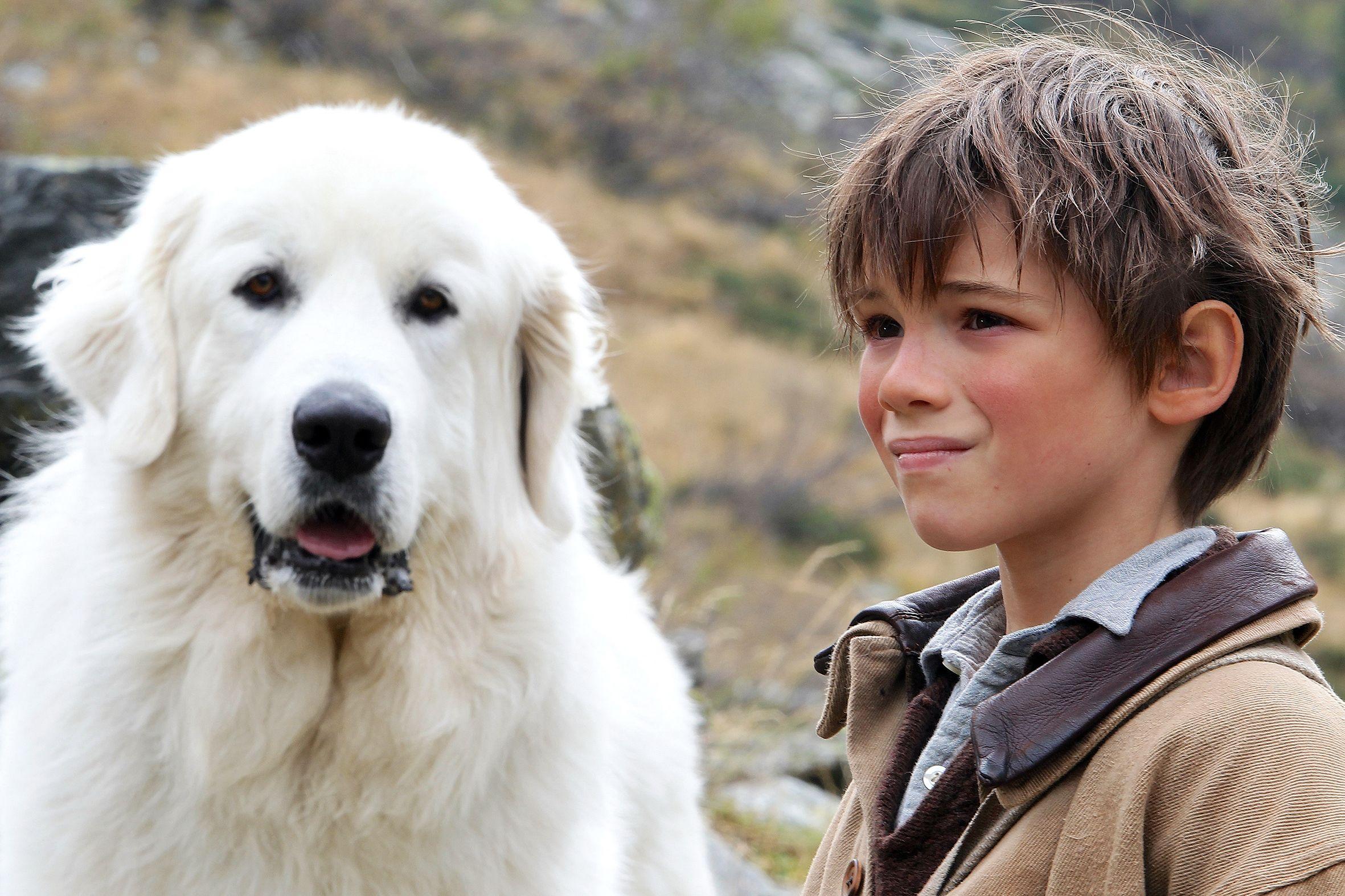  on felix bossuet wallpapers