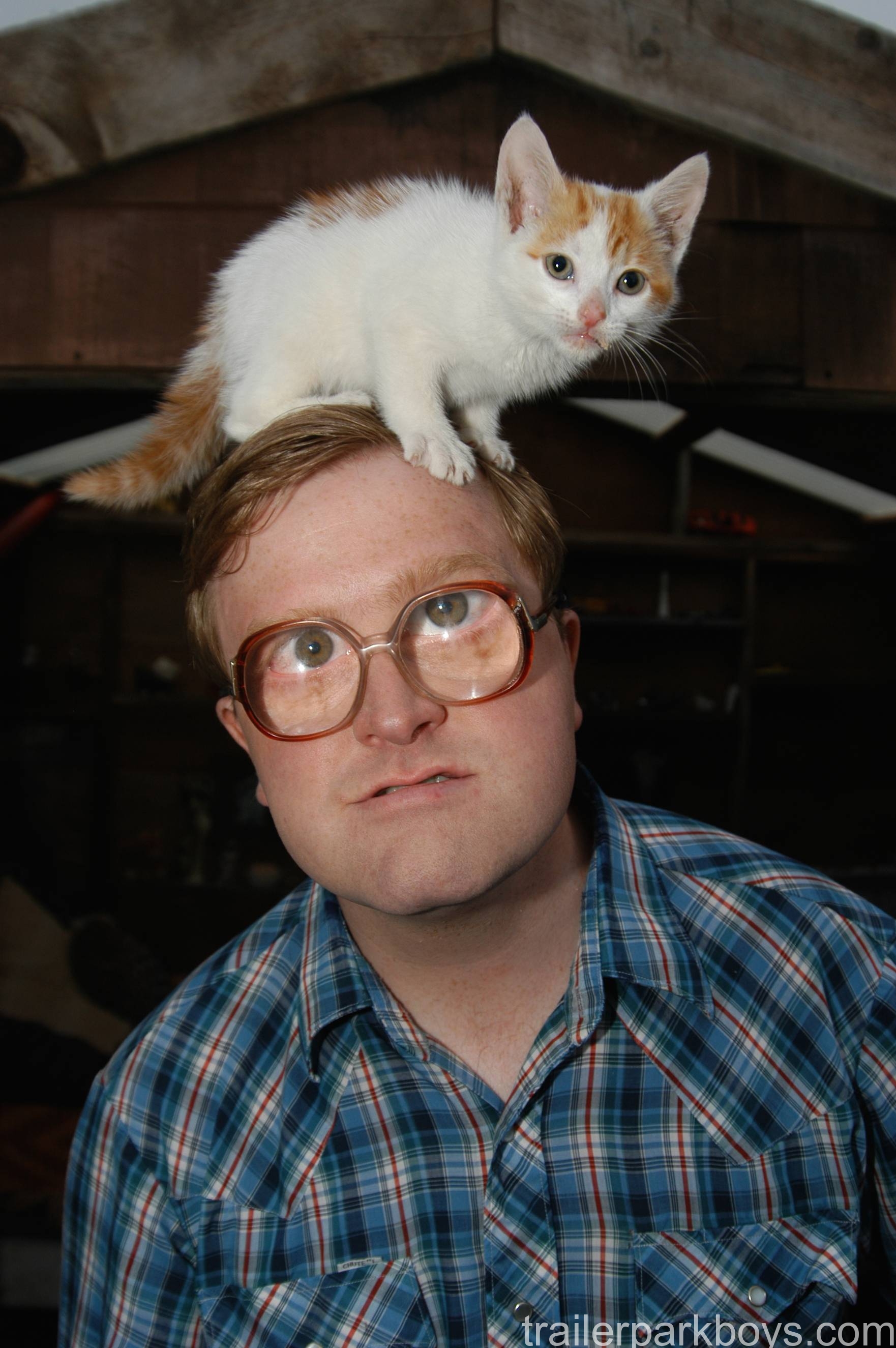 [18+] Stunning Bubbles Trailer Park Boys Wallpapers