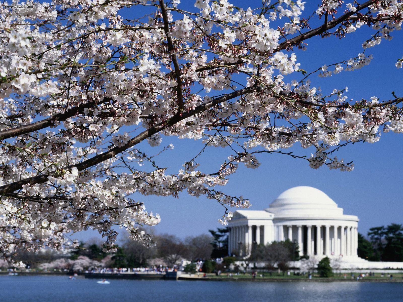 Washington dc spring wallpapers