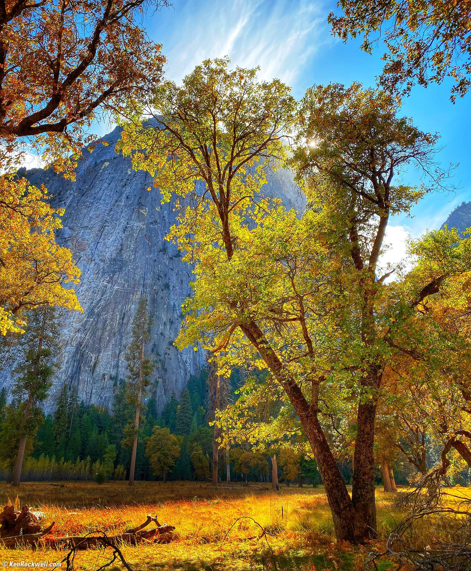 Iphone 11 Pro Max Earth Wallpapers Wallpaper Cave