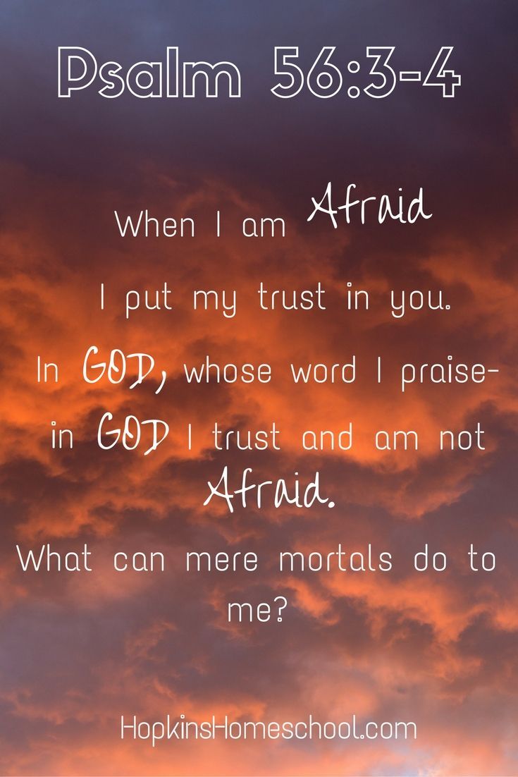 psalm 563 wallpapers wallpaper cave on psalm 563 wallpapers