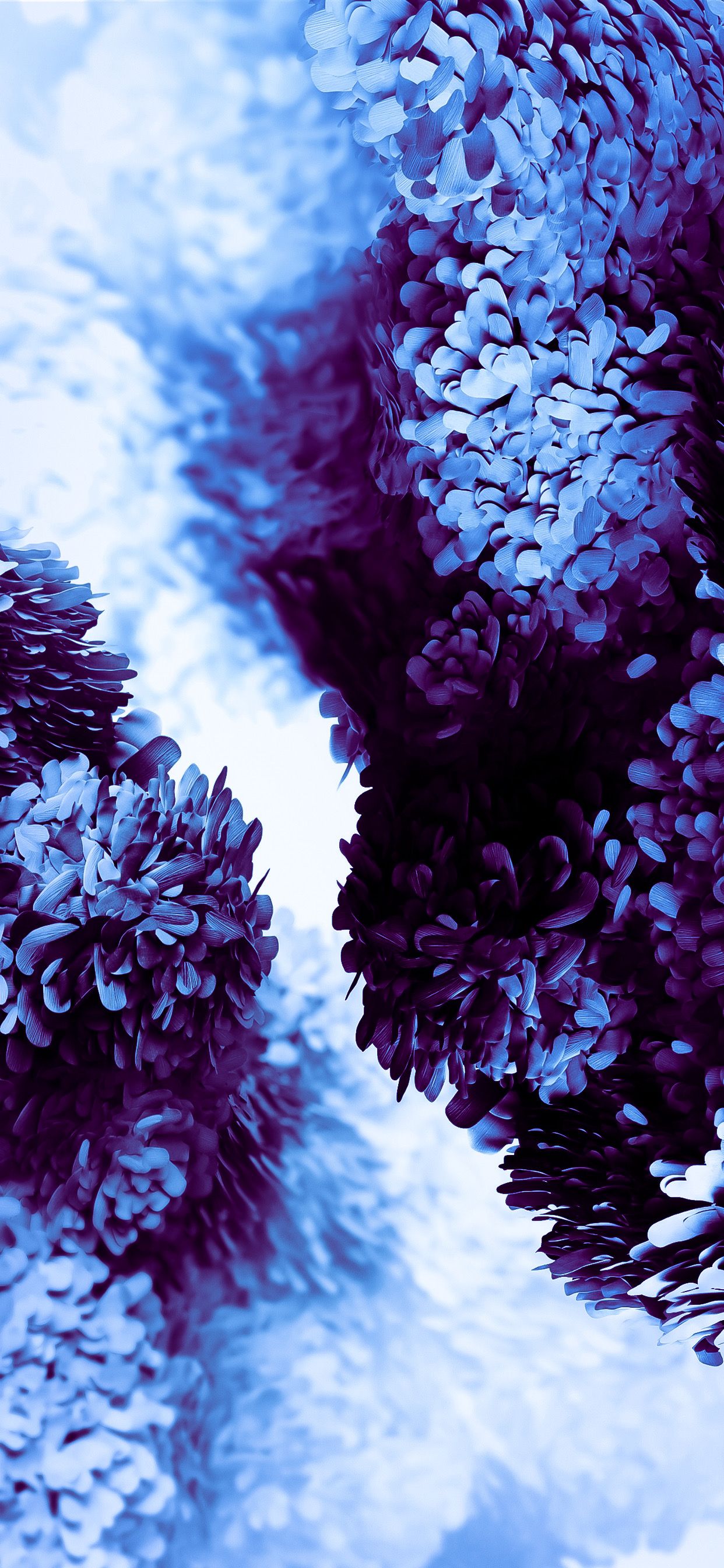 Check out this fantastic collection of samsung s20 ultra wallpapers, with 30 samsung s20 ultra background. Galaxy S20 Ultra Wallpapers Wallpaper Cave