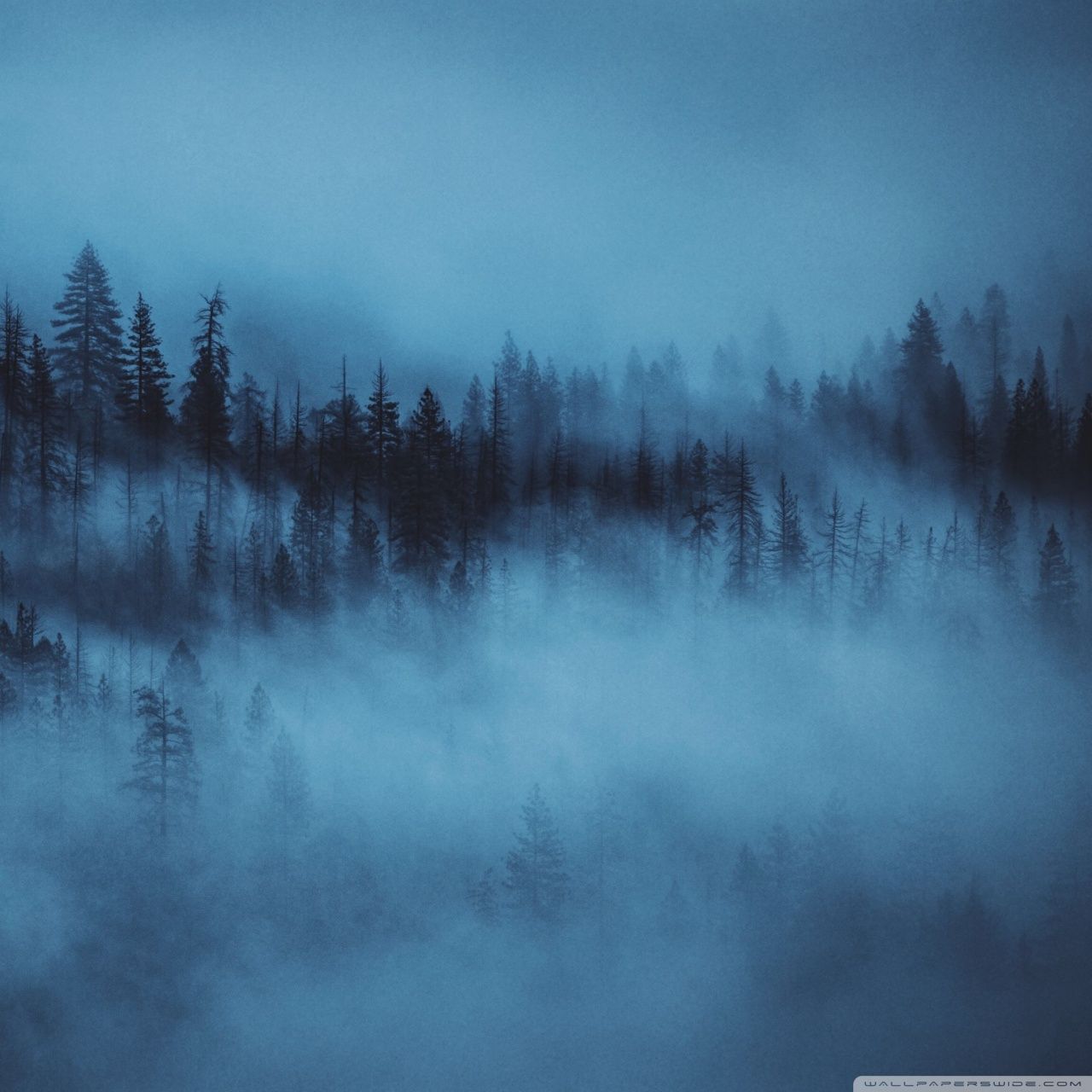 Anime, dual, monitor, multi, screen, widescreen hd wallpaper . Aesthetic Dark Landscape Wallpapers - Wallpaper Cave