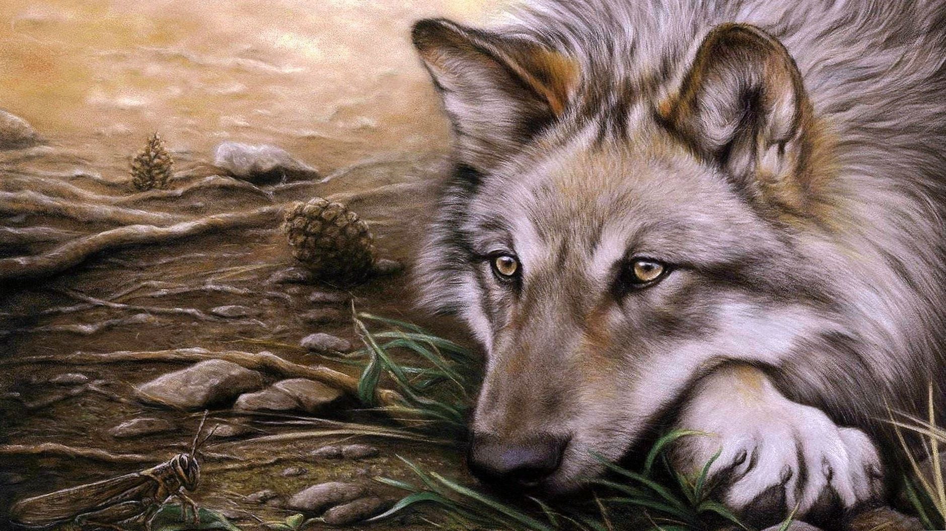 wolf drawings wallpapers wallpaper cave on wolf drawings wallpapers