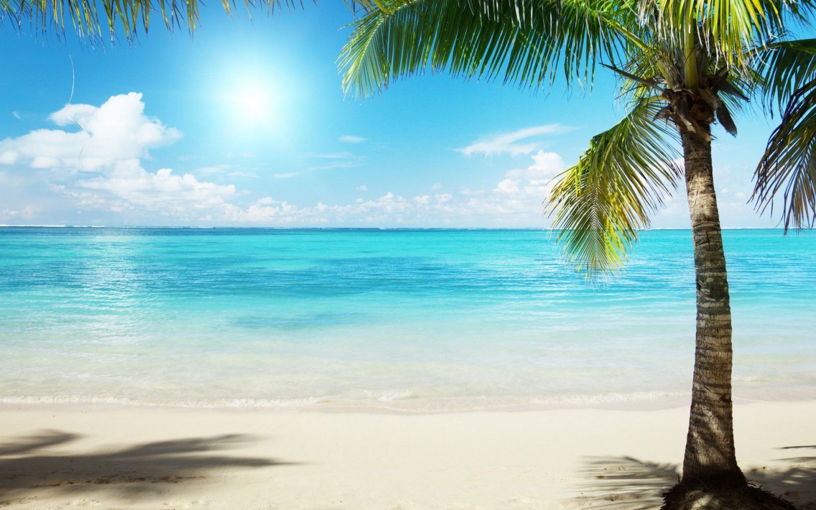 And more when it comes to entrepreneurial drive, max full. Beach Scenes Computer Wallpapers Wallpaper Cave
