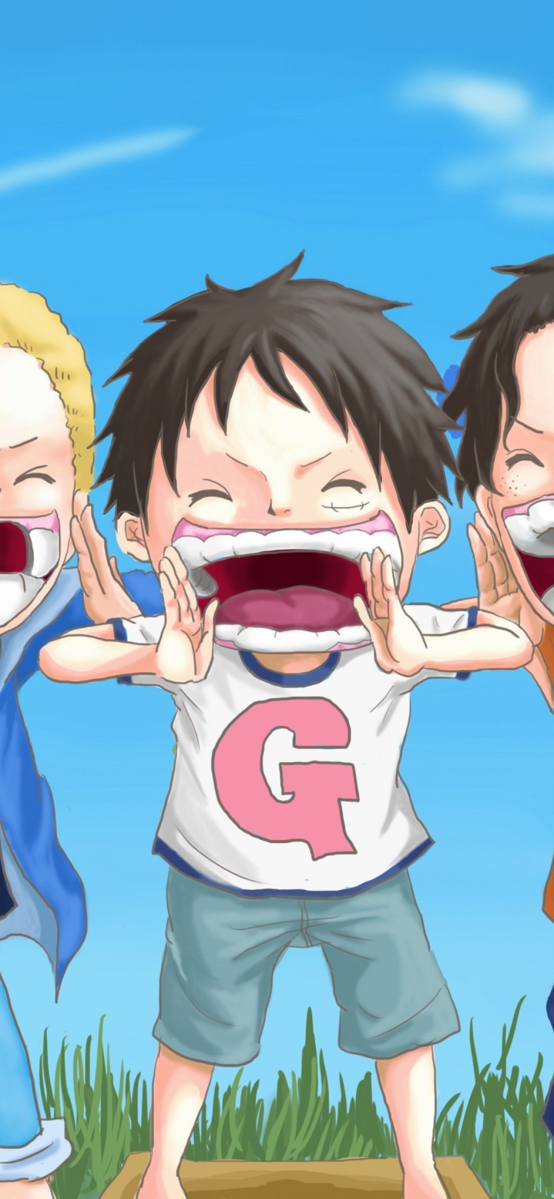 One Piece Iphone X Wallpapers Wallpaper Cave