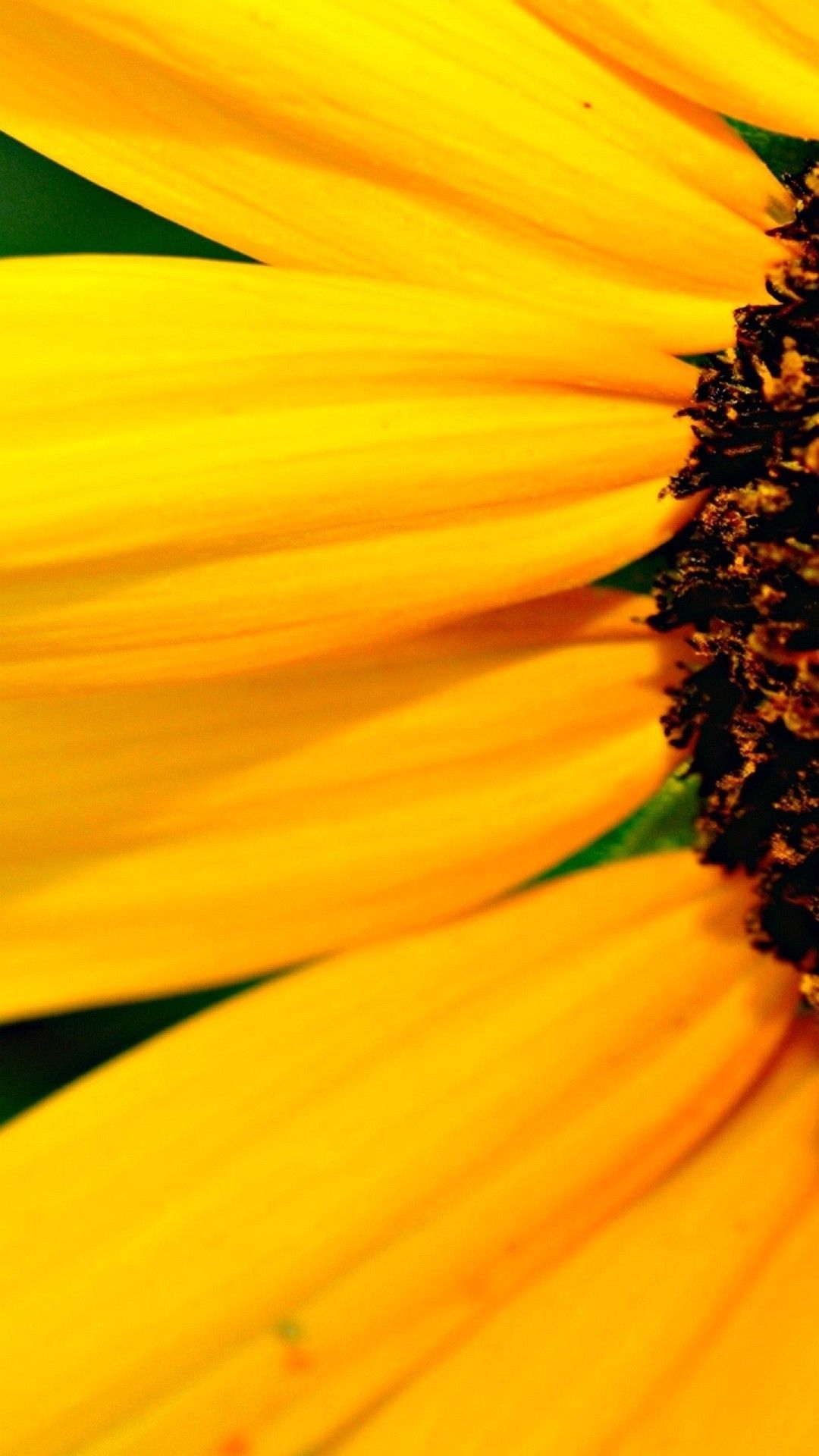 Advanced face id technology lets you securely unlock your iphone and log in to apps with just a glance. Yellow iPhone Wallpapers - Wallpaper Cave