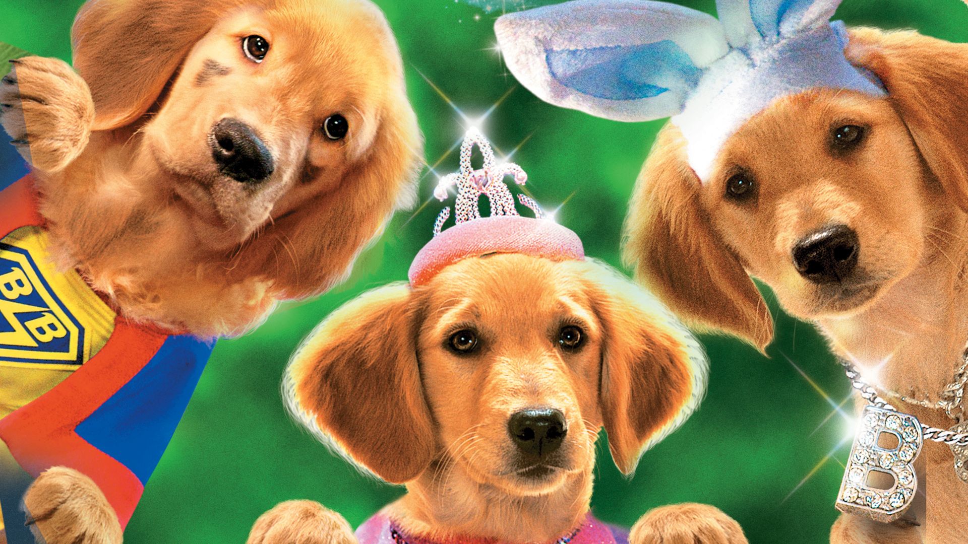 budderball wallpapers wallpaper cave on budderball wallpapers