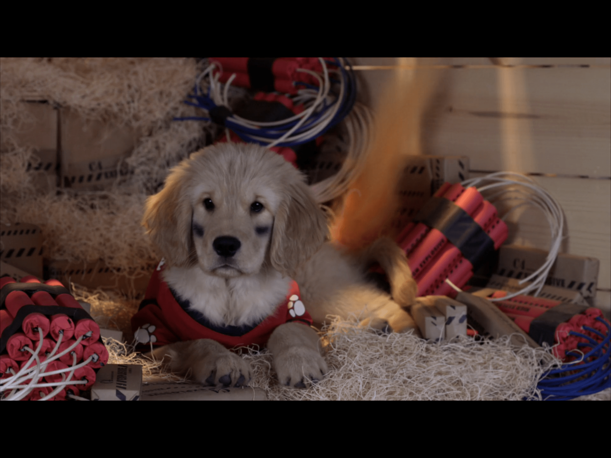 budderball wallpapers wallpaper cave on budderball wallpapers