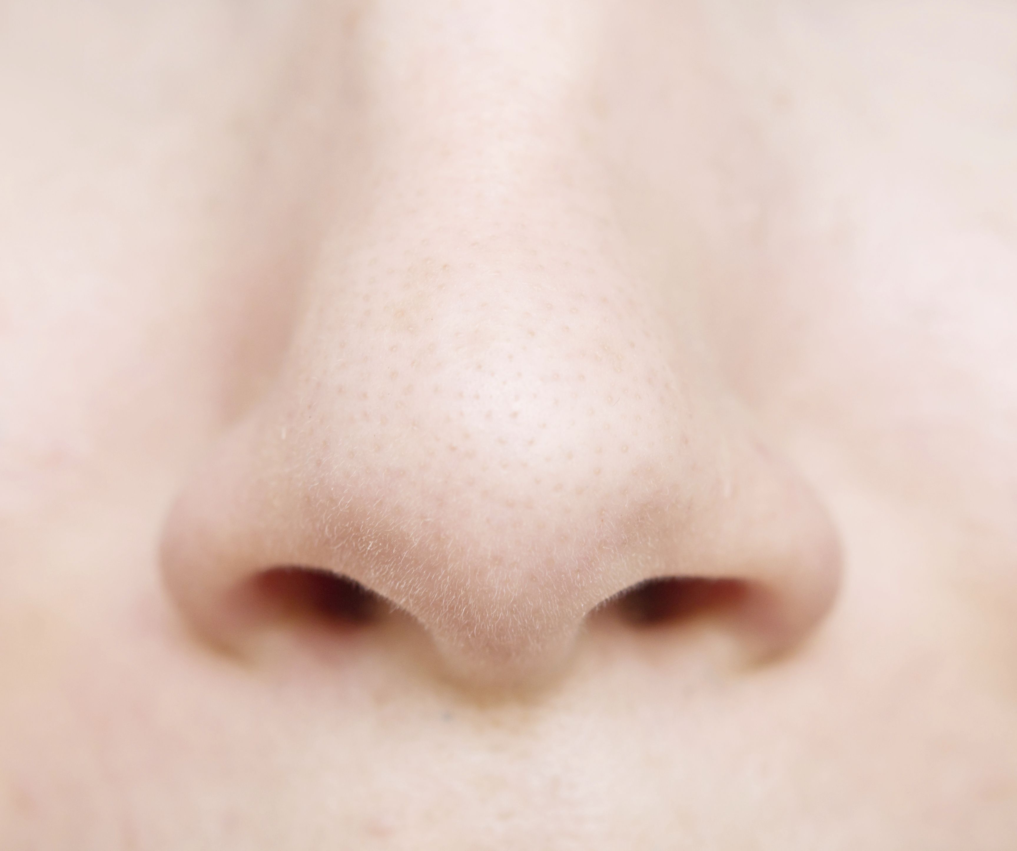 Nose wallpapers