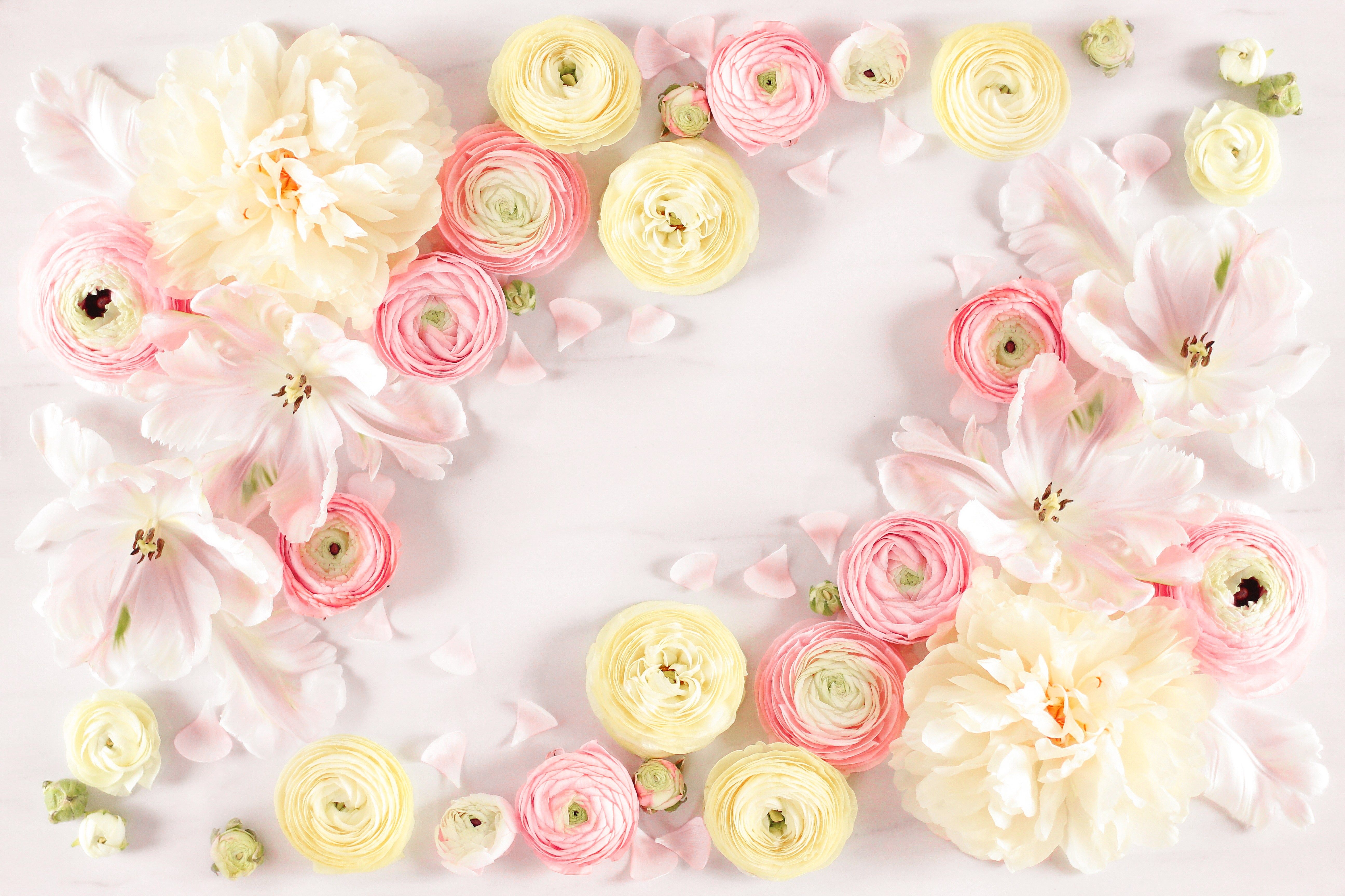 desktop soft wallpapers wallpaper cave on desktop soft wallpapers