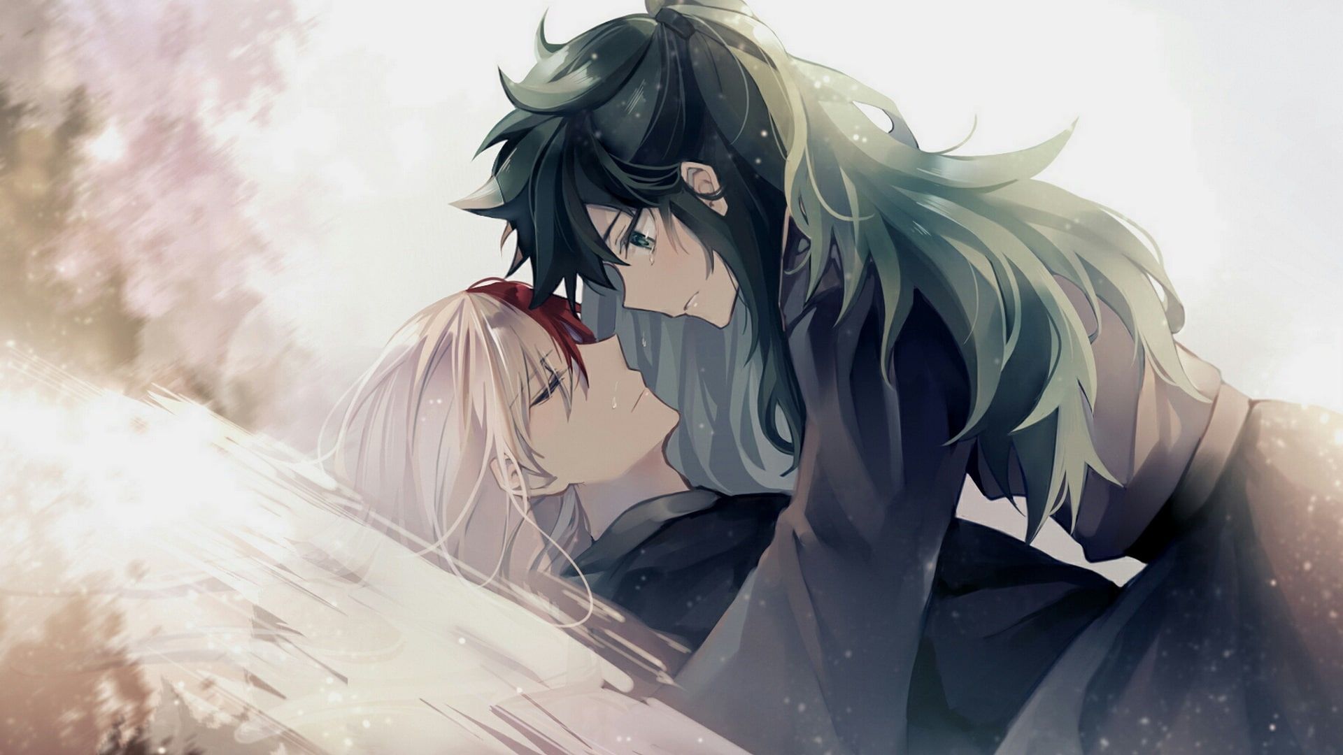 todoroki as a cat wallpapers wallpaper cave on todoroki as a cat wallpapers