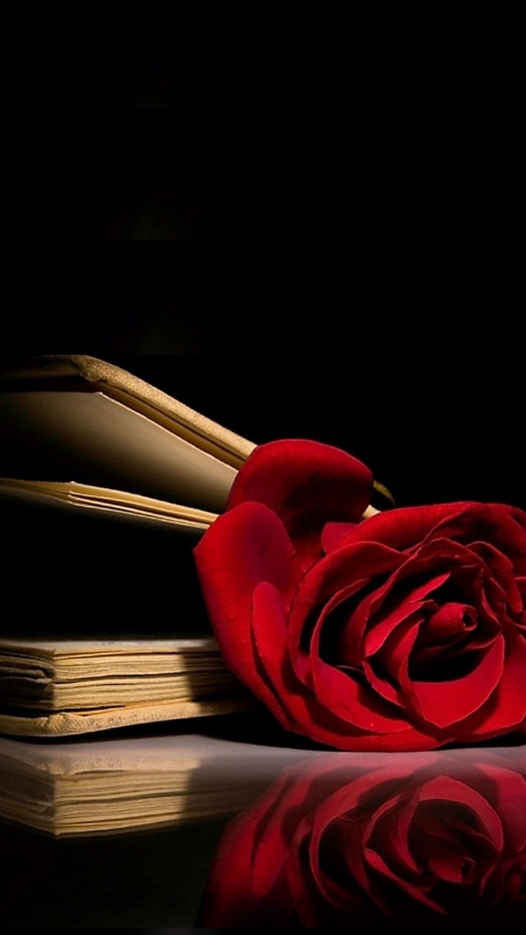 Flower rose love 11970 hd wallpapers in love n romance. Red Rose Blume Flower Wallpapers Wallpaper Cave