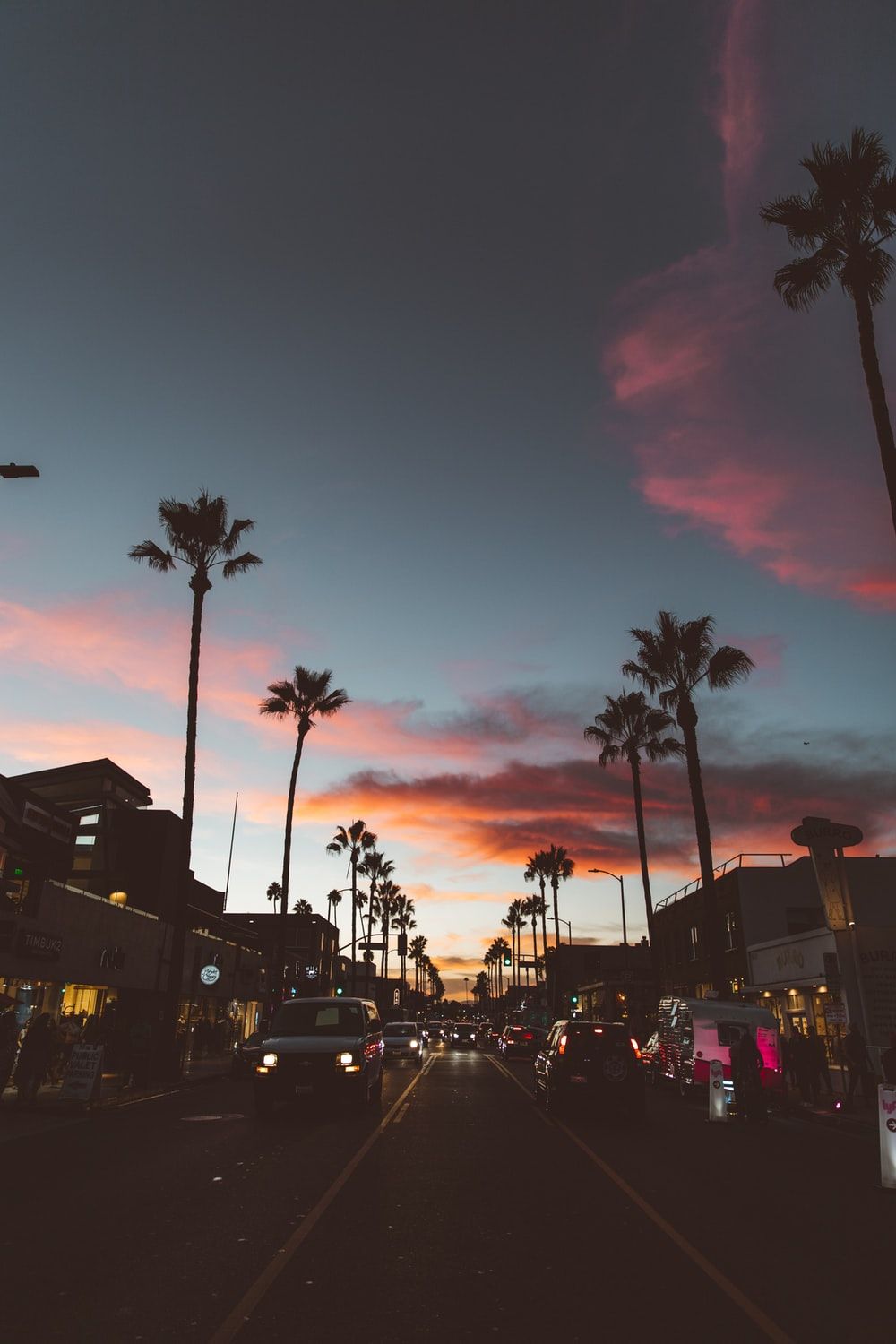 Aesthetic Palm Trees Beautiful And Pink Image 6154000 On Favim Com