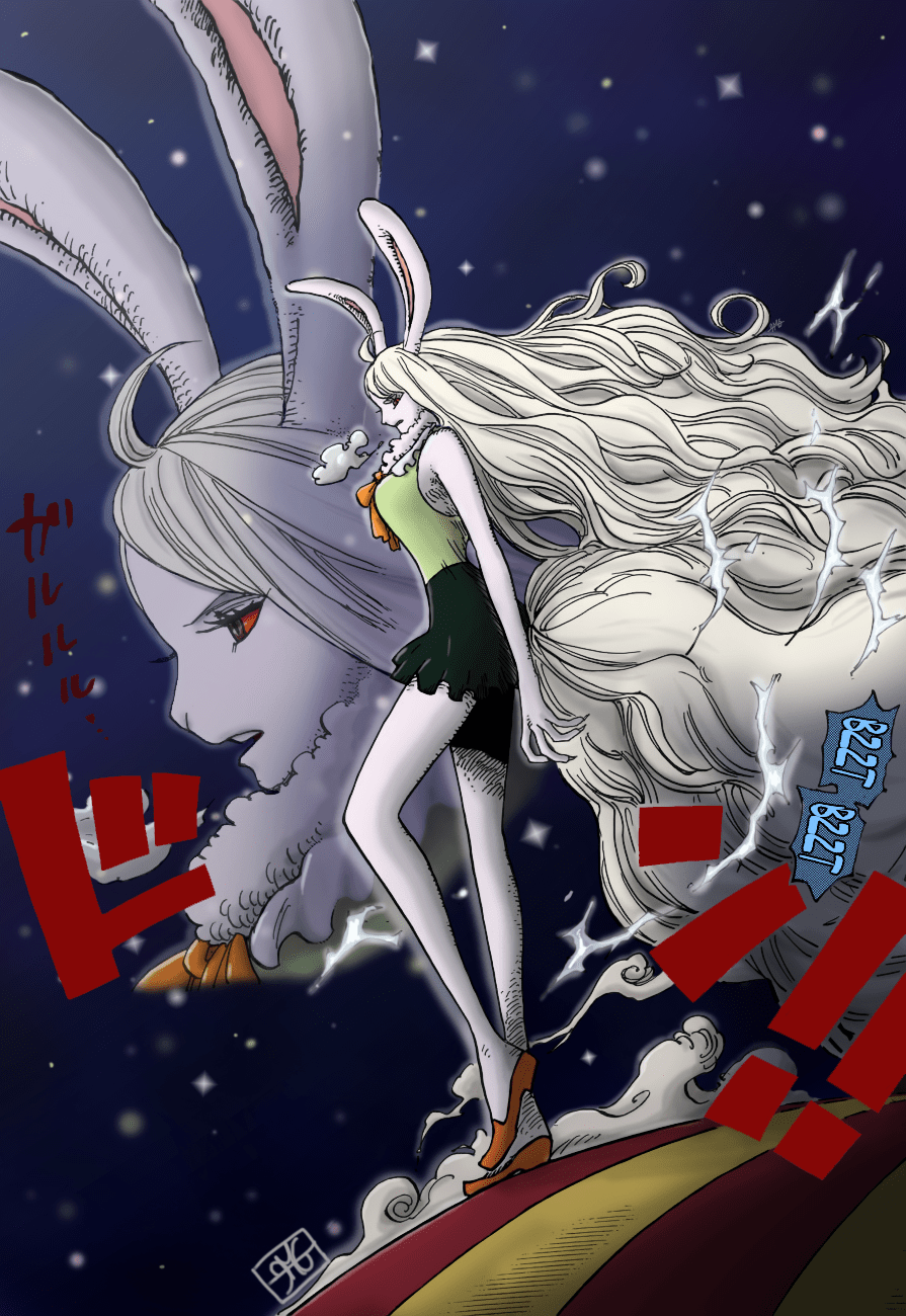 carrot one piece wallpapers wallpaper cave on carrot one piece wallpapers