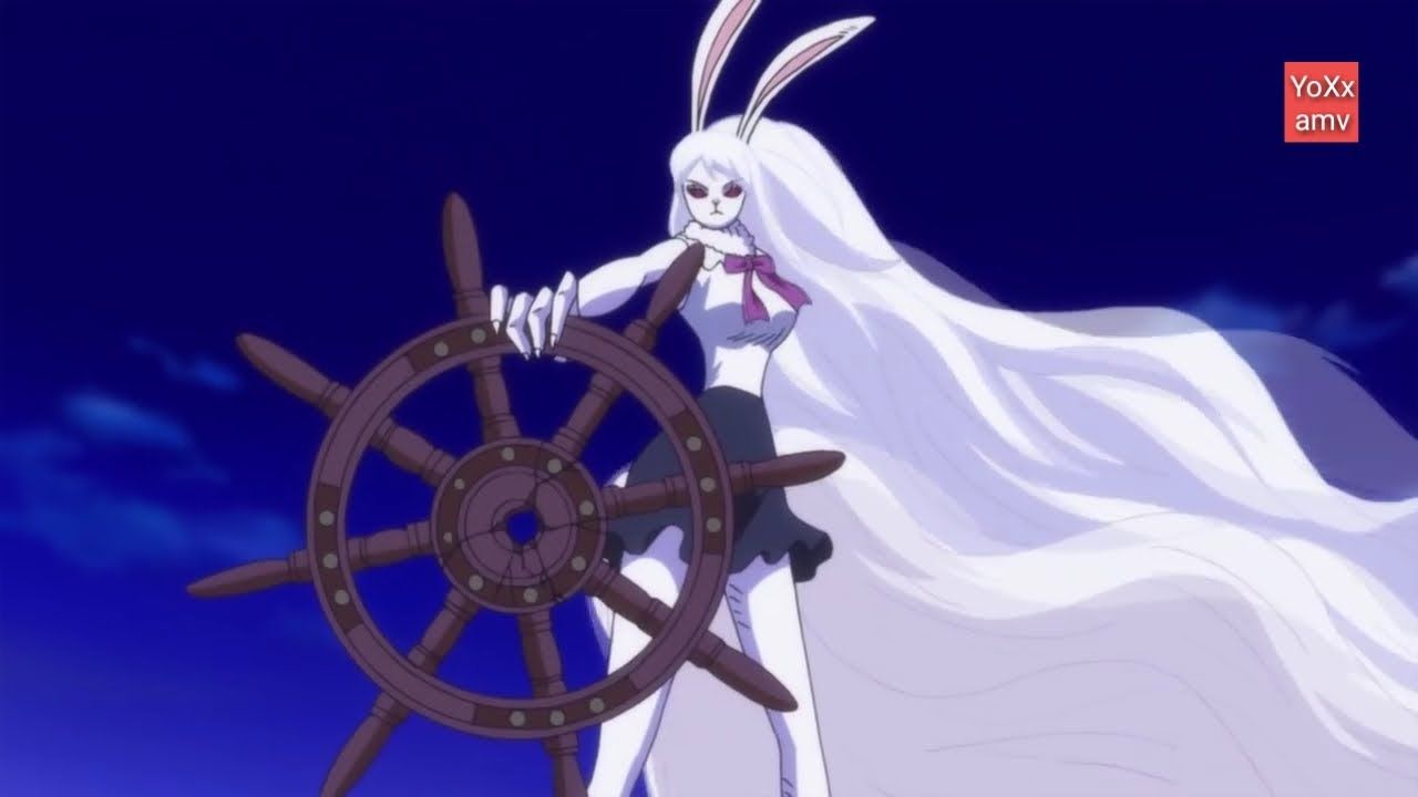 Carrot One Piece Wallpapers Wallpaper Cave