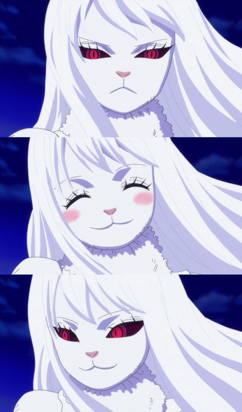 carrot one piece wallpapers wallpaper cave on carrot one piece wallpapers