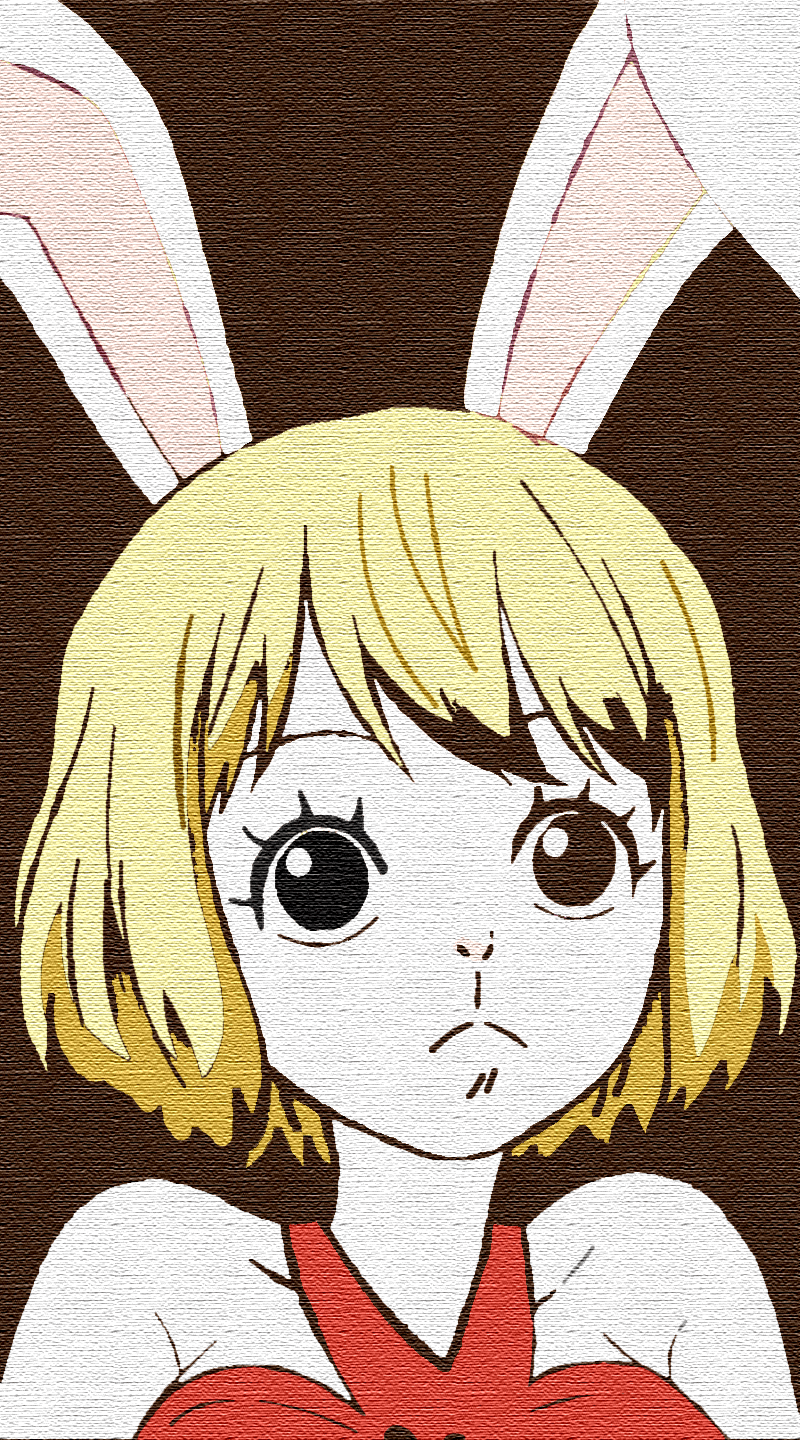 Carrot One Piece Wallpapers Wallpaper Cave