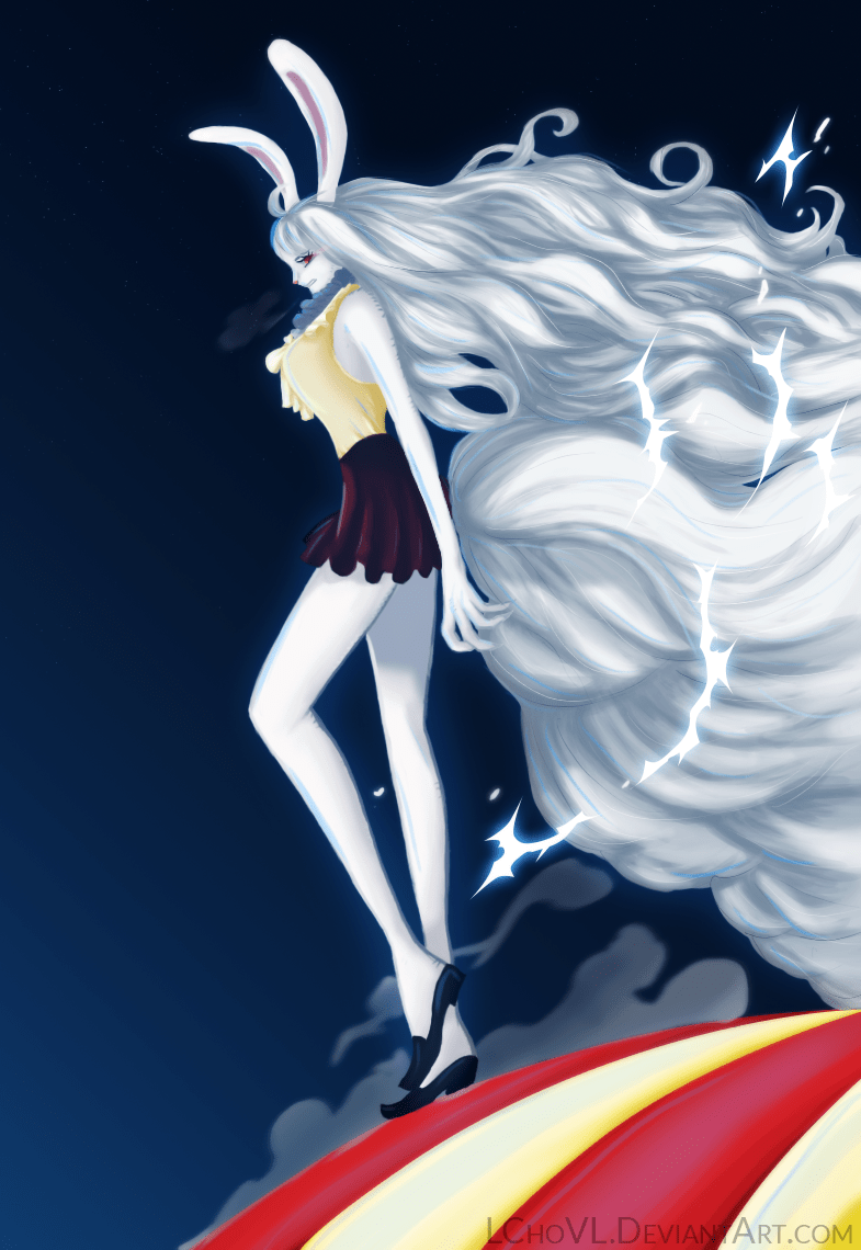 Carrot One Piece Wallpapers Wallpaper Cave