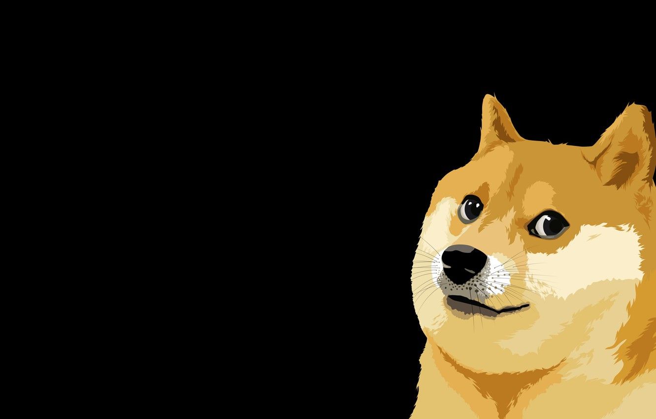 doge meme wallpapers wallpaper cave on dog meme wallpapers