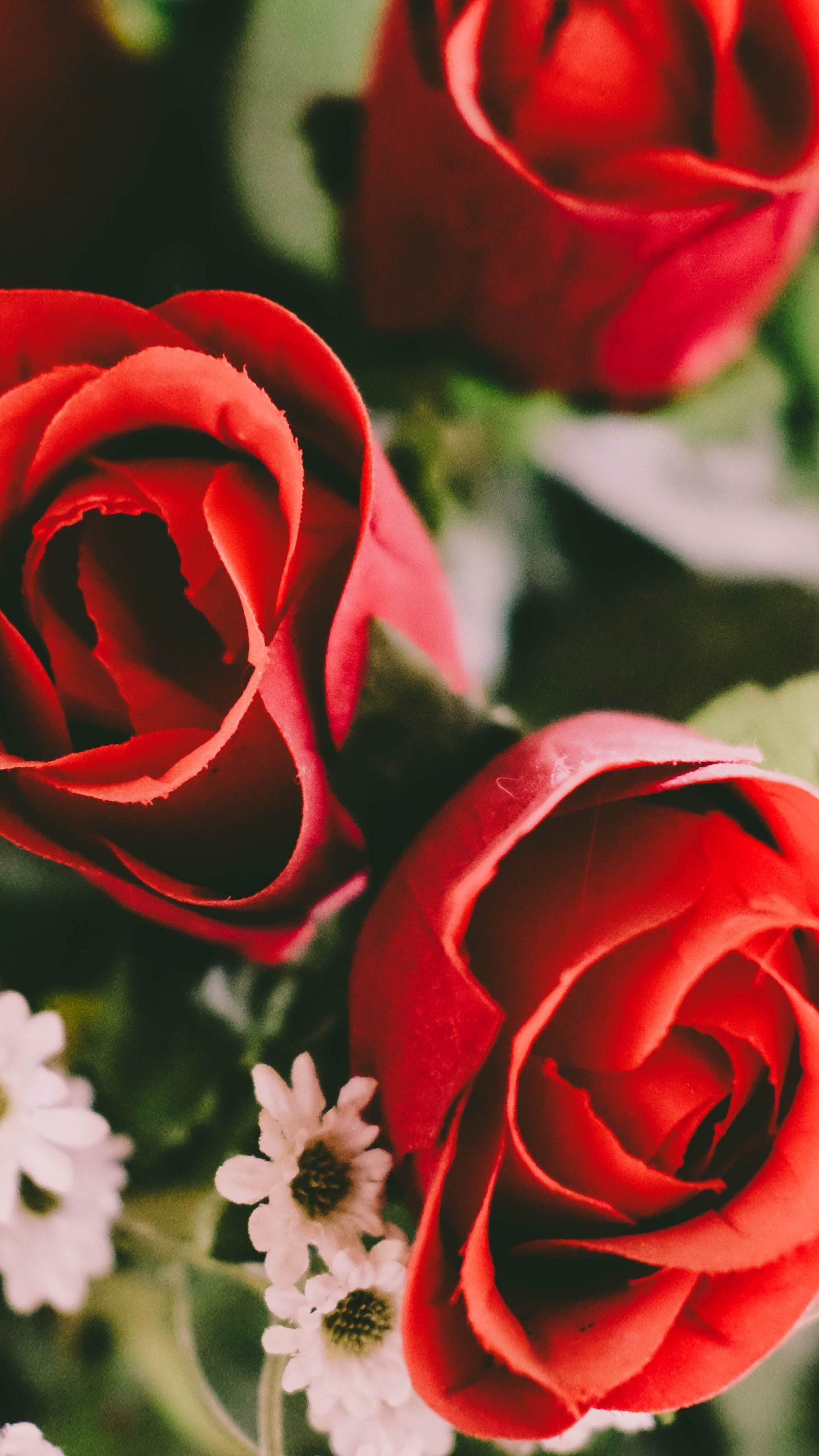 Customize your desktop, mobile phone and tablet with our wide variety of cool and interesting rose wallpapers and rose backgrounds in just a few clicks. Roses Android Wallpapers Wallpaper Cave