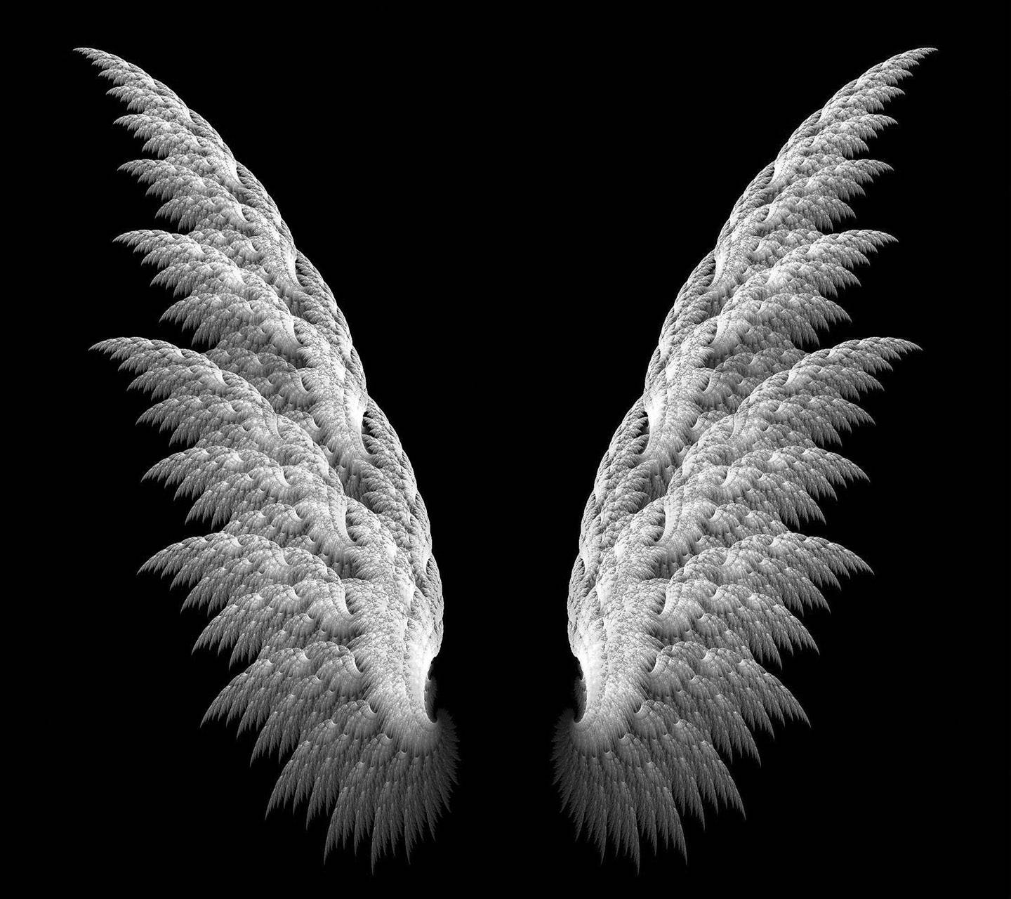 13.03.2017 · i need a simple white angel articulated wings ^^' black owl studio 5 december 2017. Black Wings Wallpapers Wallpaper Cave