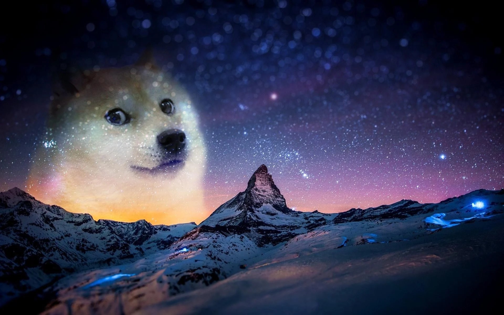 doge meme wallpapers wallpaper cave on dog meme wallpapers