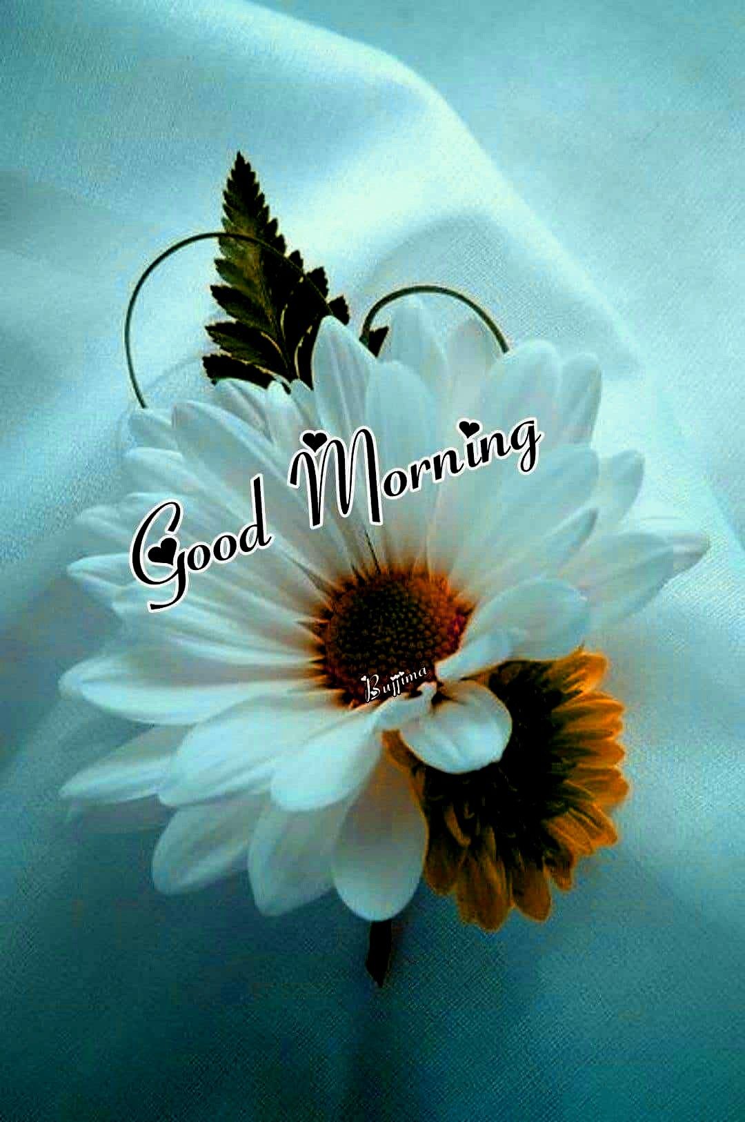 Good morning wallpapers download