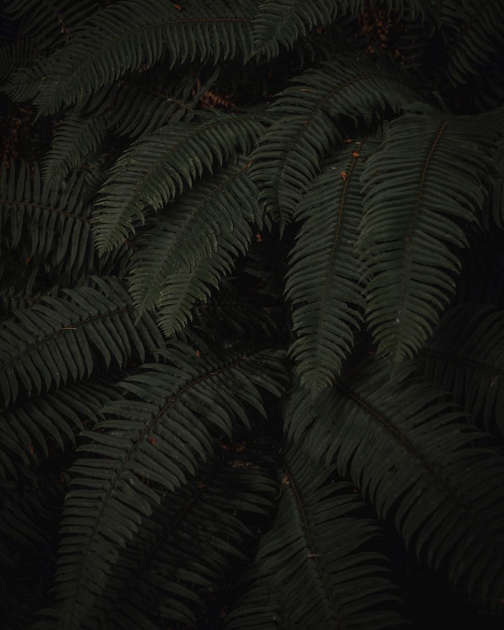 dark moody wallpapers wallpaper cave on dark moody wallpapers