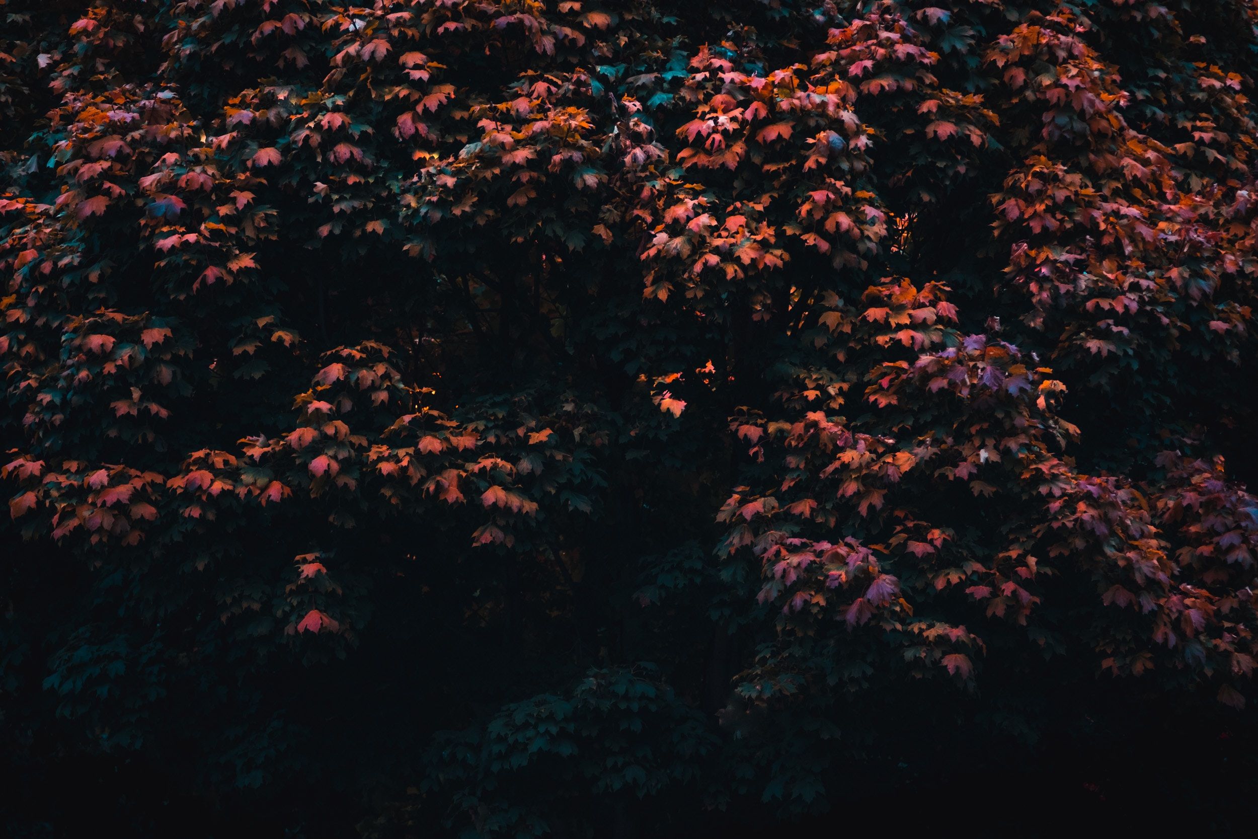 dark moody wallpapers wallpaper cave on dark moody wallpapers