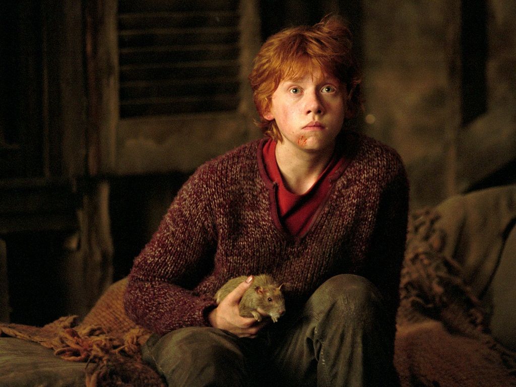 young ron weasley wallpapers wallpaper cave on young ron weasley wallpapers