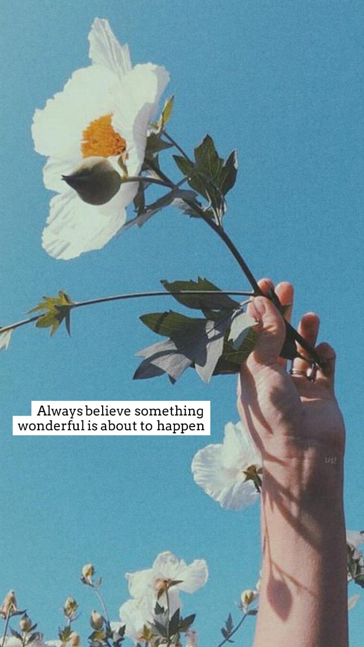 #aesthetic bios #pastel #bts #blackpink #kpop #vintage #night vibes #indie games #inspiring quotes #instagram #nature #skincare #kawaii #anime #old town road #love #aesthetic #indie rock #haircut #art #anime art #nail art #digital art #food photography #photooftheday … Aesthetic Flower Quote HD Wallpapers - Wallpaper Cave