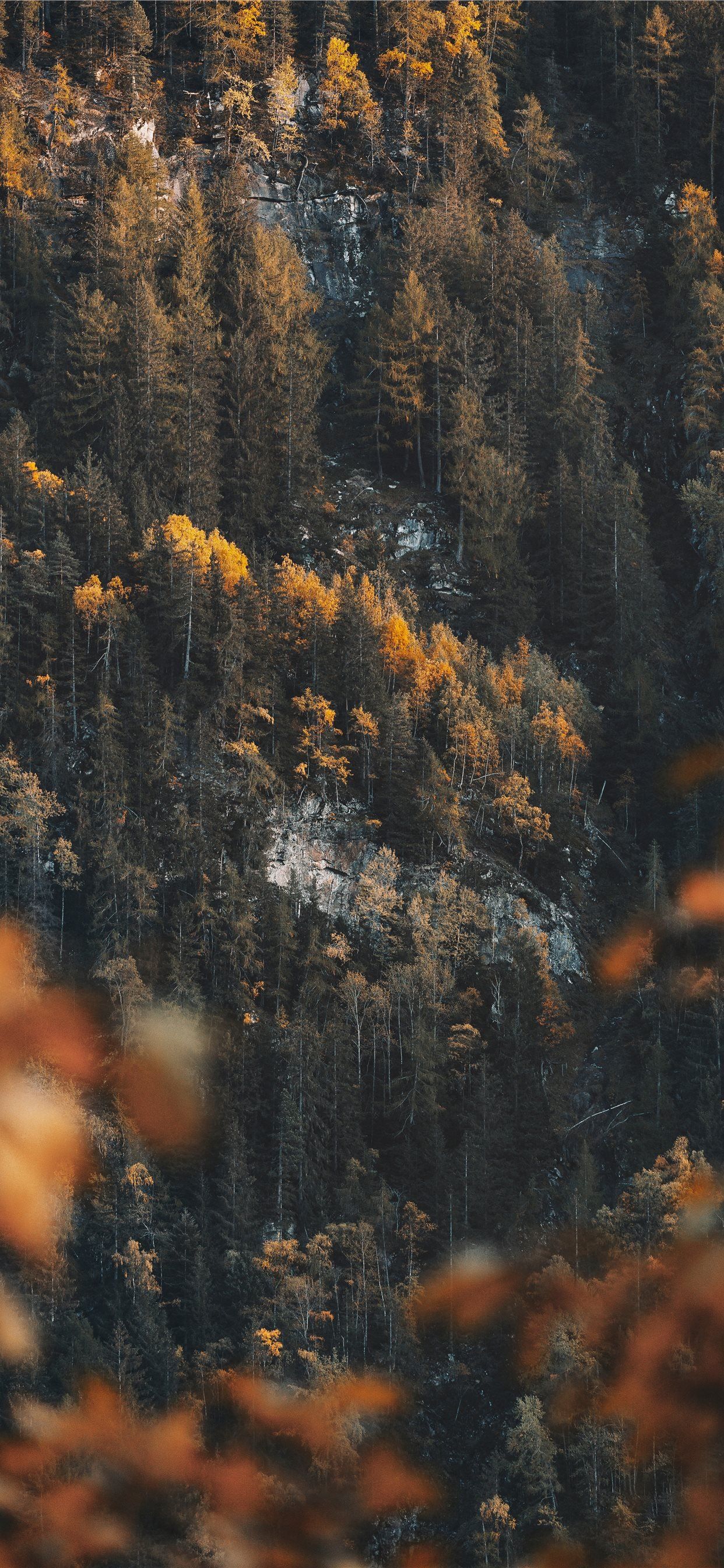 Autumn Iphone 11 Pro Max Wallpapers Wallpaper Cave