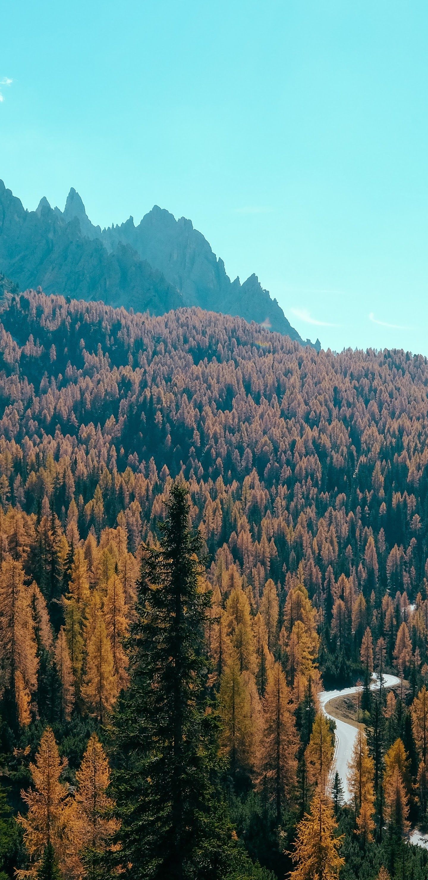 Autumn Iphone 11 Pro Max Wallpapers Wallpaper Cave