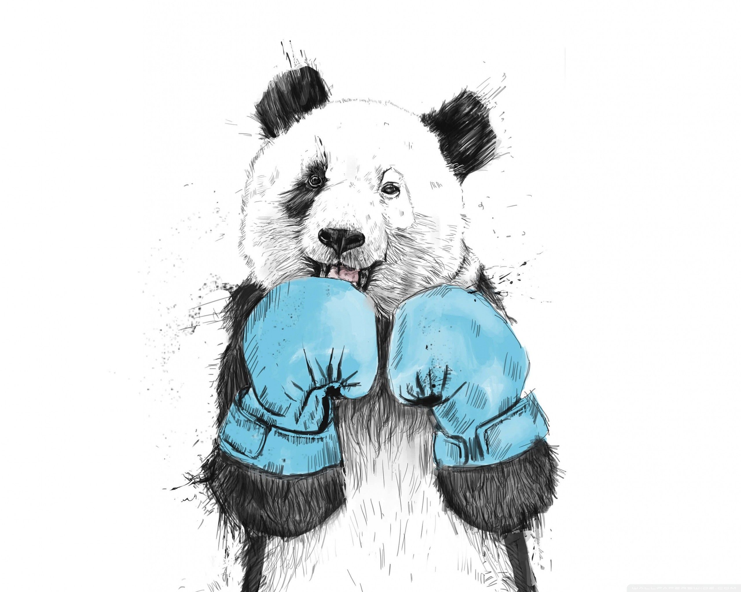 If you ever need a dose of cuteness, then one surefire way to get it is by looking at pictures of baby animals. Animal Drawings Wallpapers Wallpaper Cave