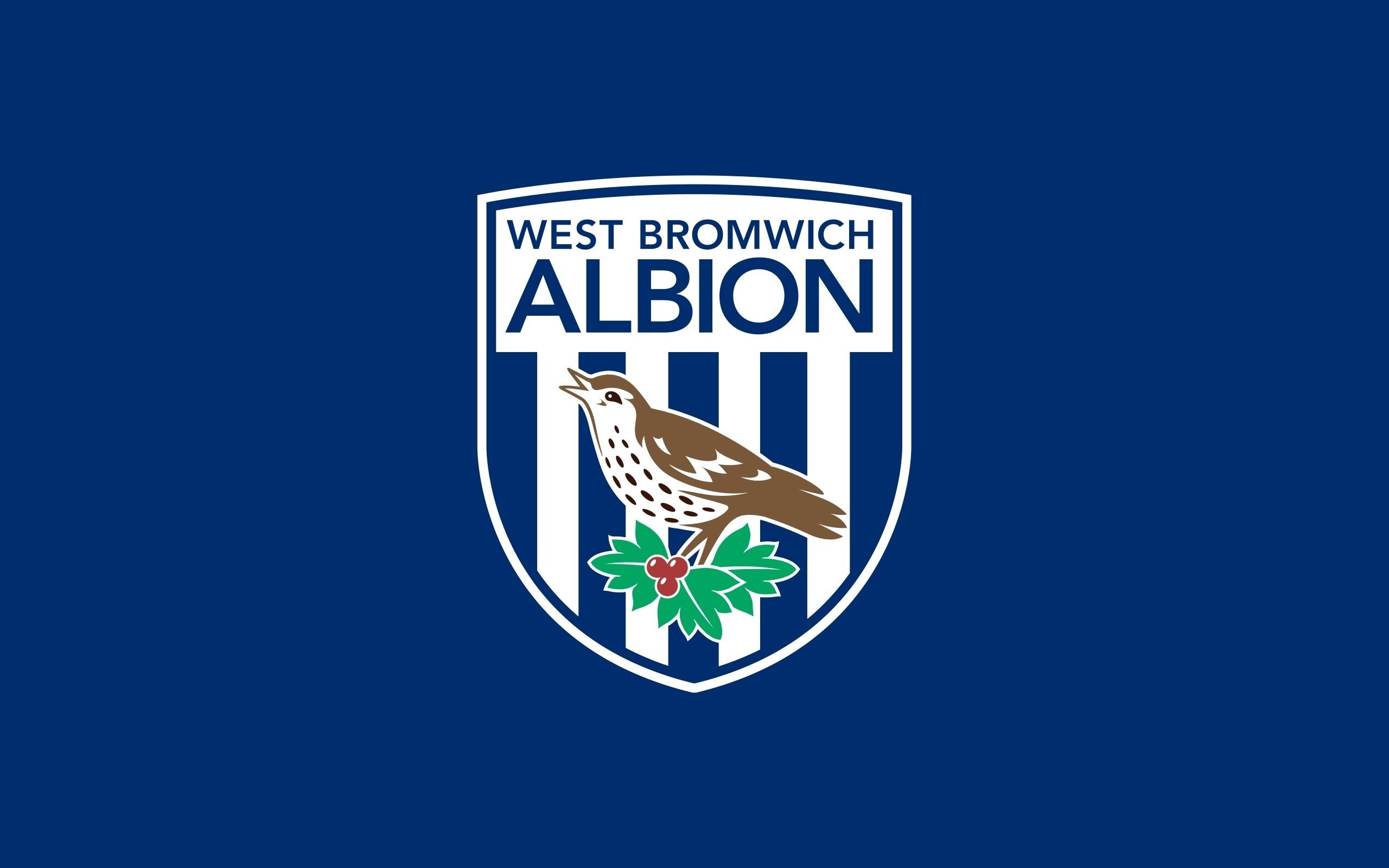 The survey of 2,000 brits, conducted by interior design experts arthouse. West Bromwich Albion F C Wallpapers Wallpaper Cave
