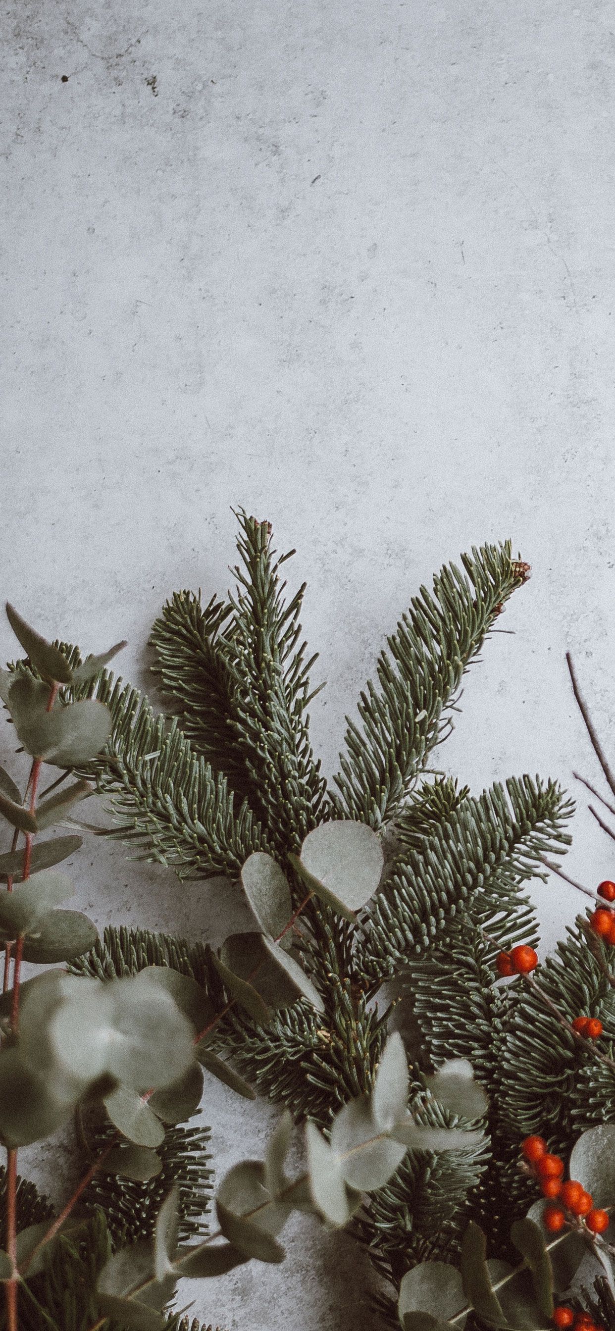 Iphone 11 Christmas Wallpapers Wallpaper Cave