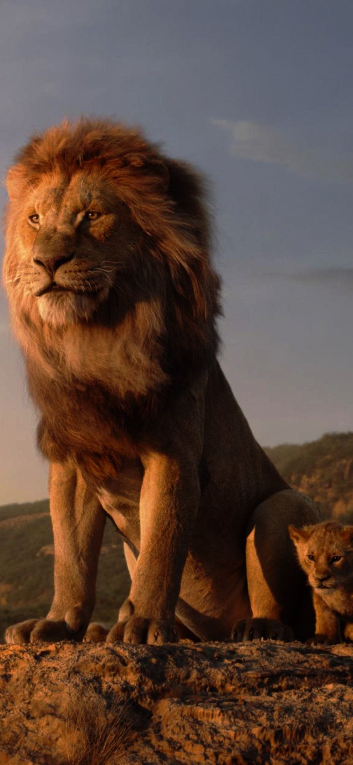 The Lion King Ultra Hd Wallpapers Wallpaper Cave