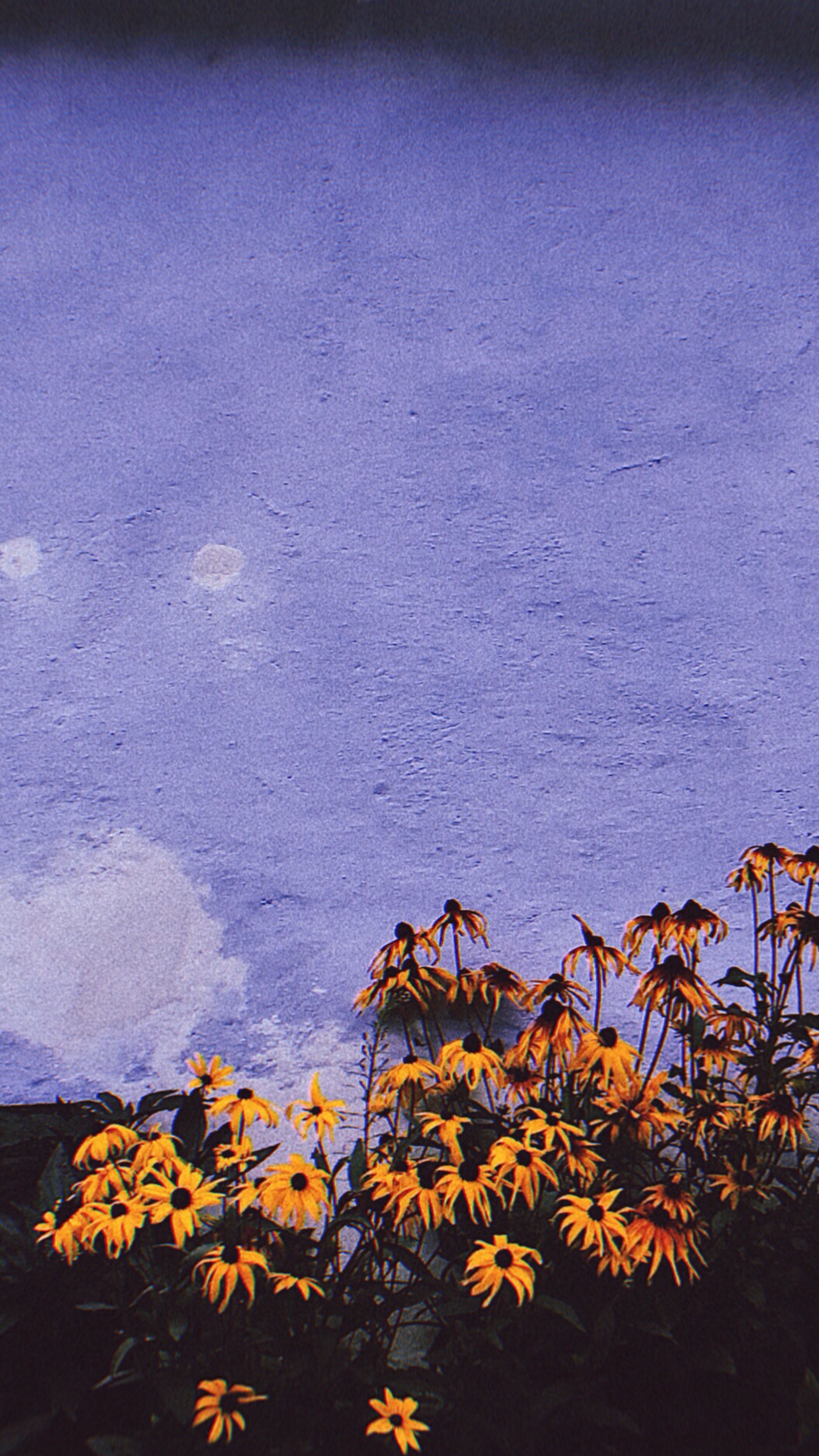 purple and yellow wallpapers wallpaper cave on purple and yellow wallpapers